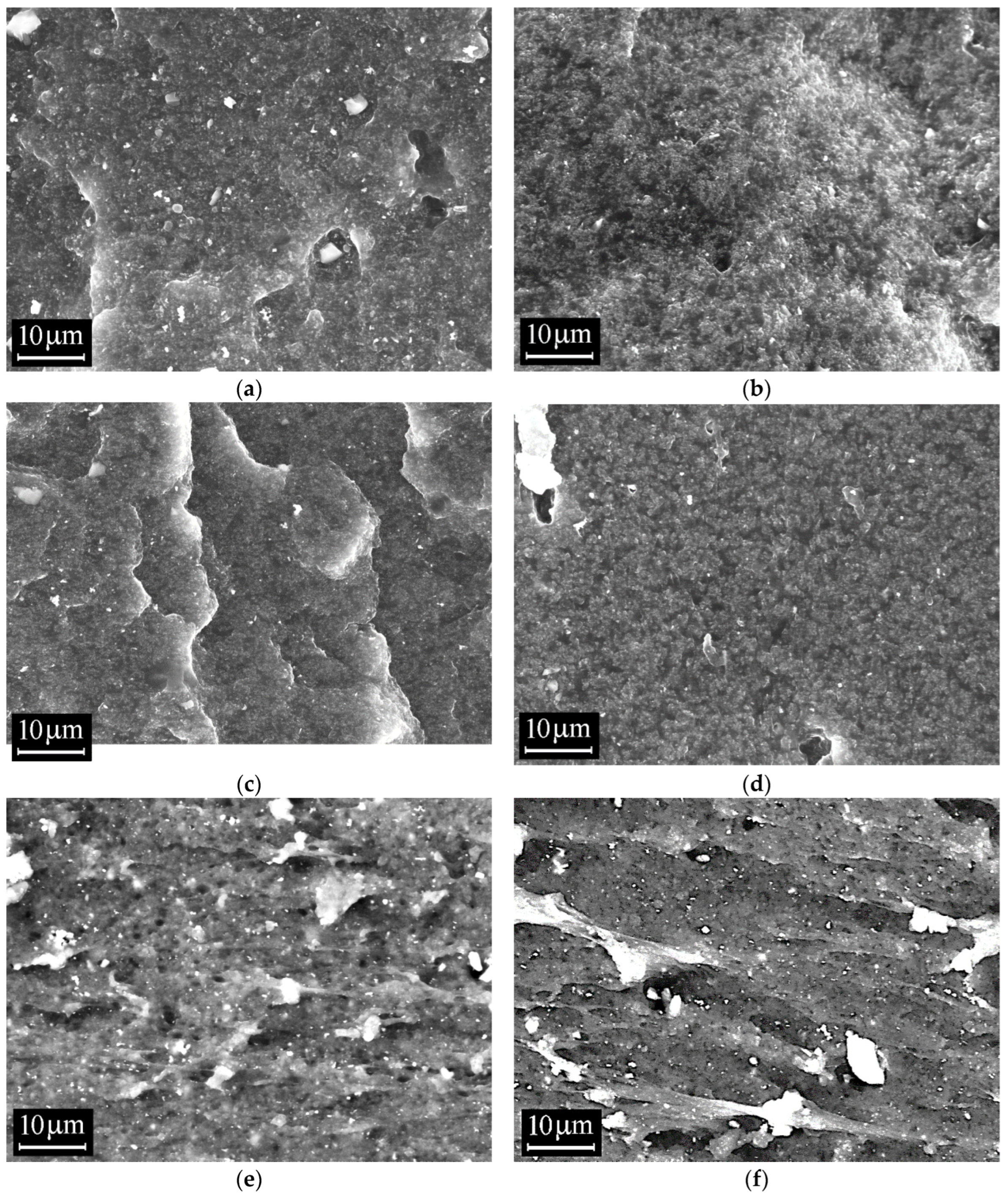 Polymers 18 00103 g008a Polymers 18 00103 g008a