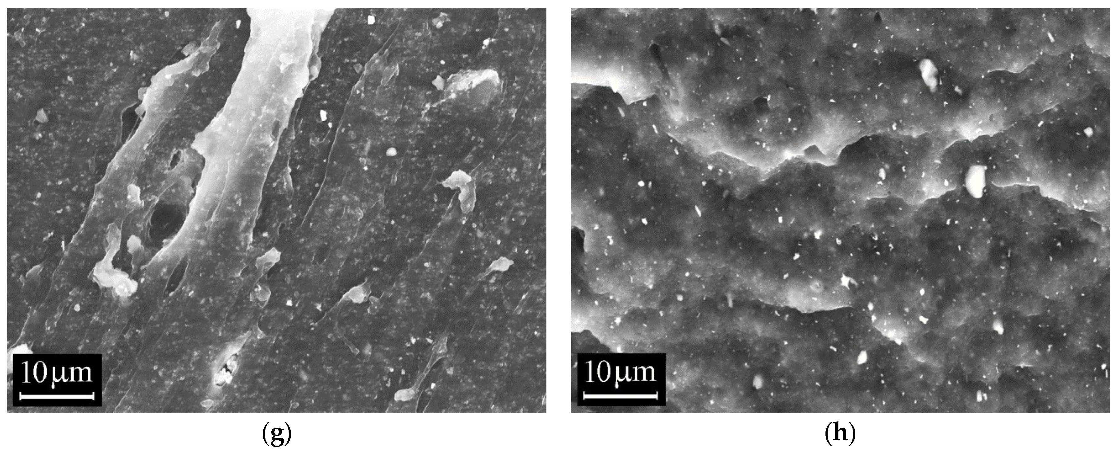 Polymers 18 00103 g008b Polymers 18 00103 g008b