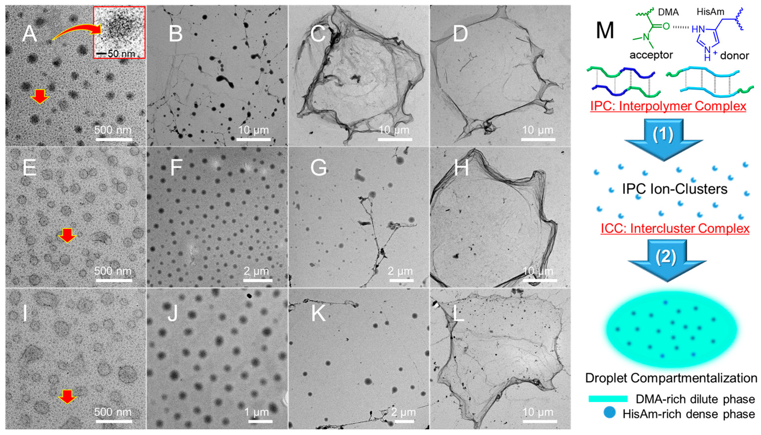 Polymers 18 00106 g002