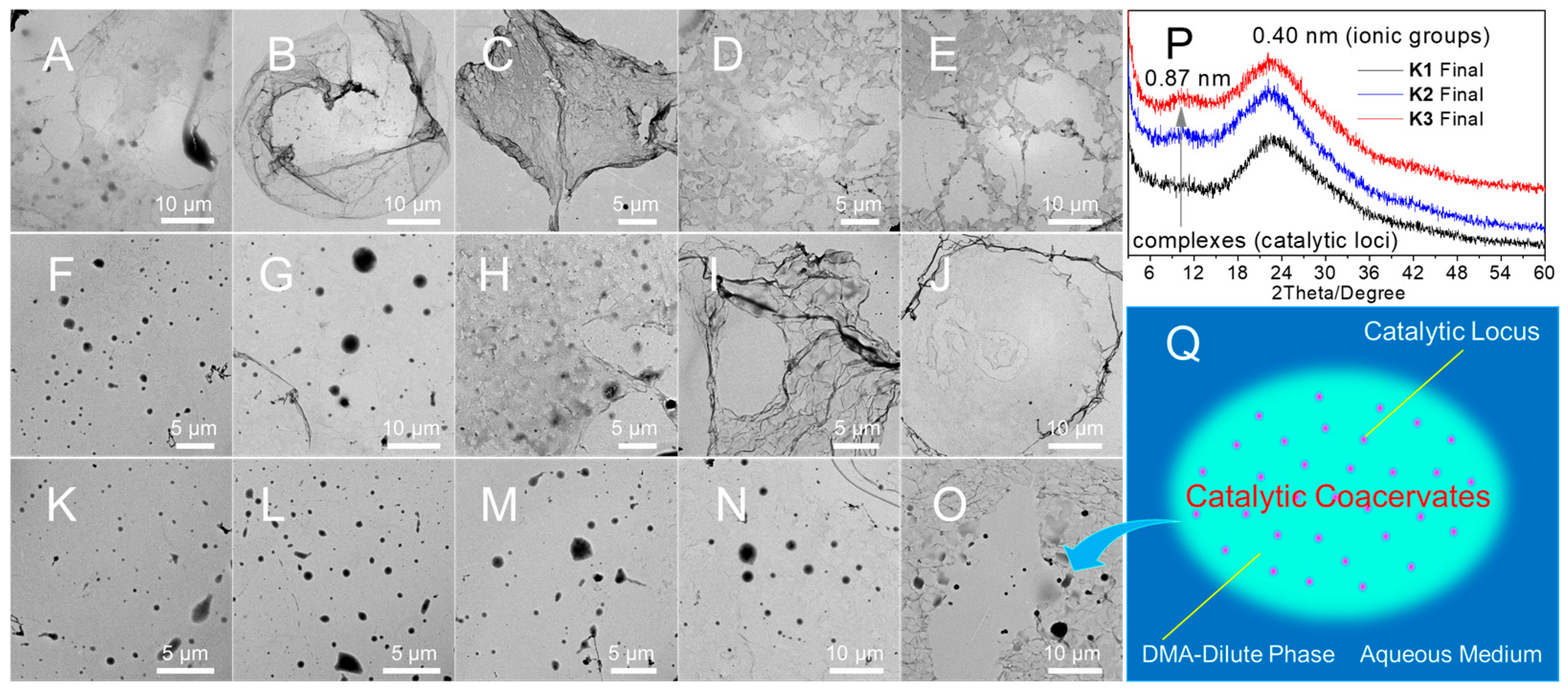 Polymers 18 00106 g009