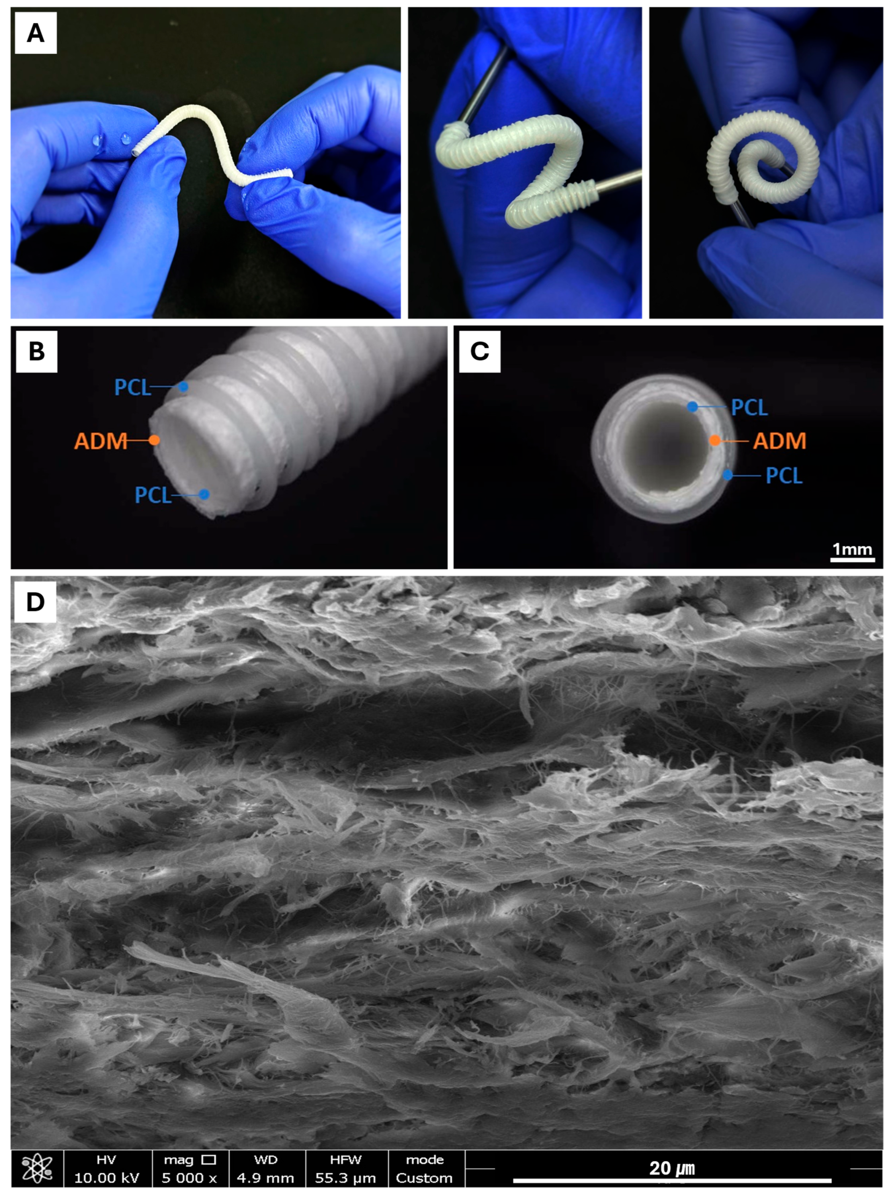 Polymers 18 00109 g002