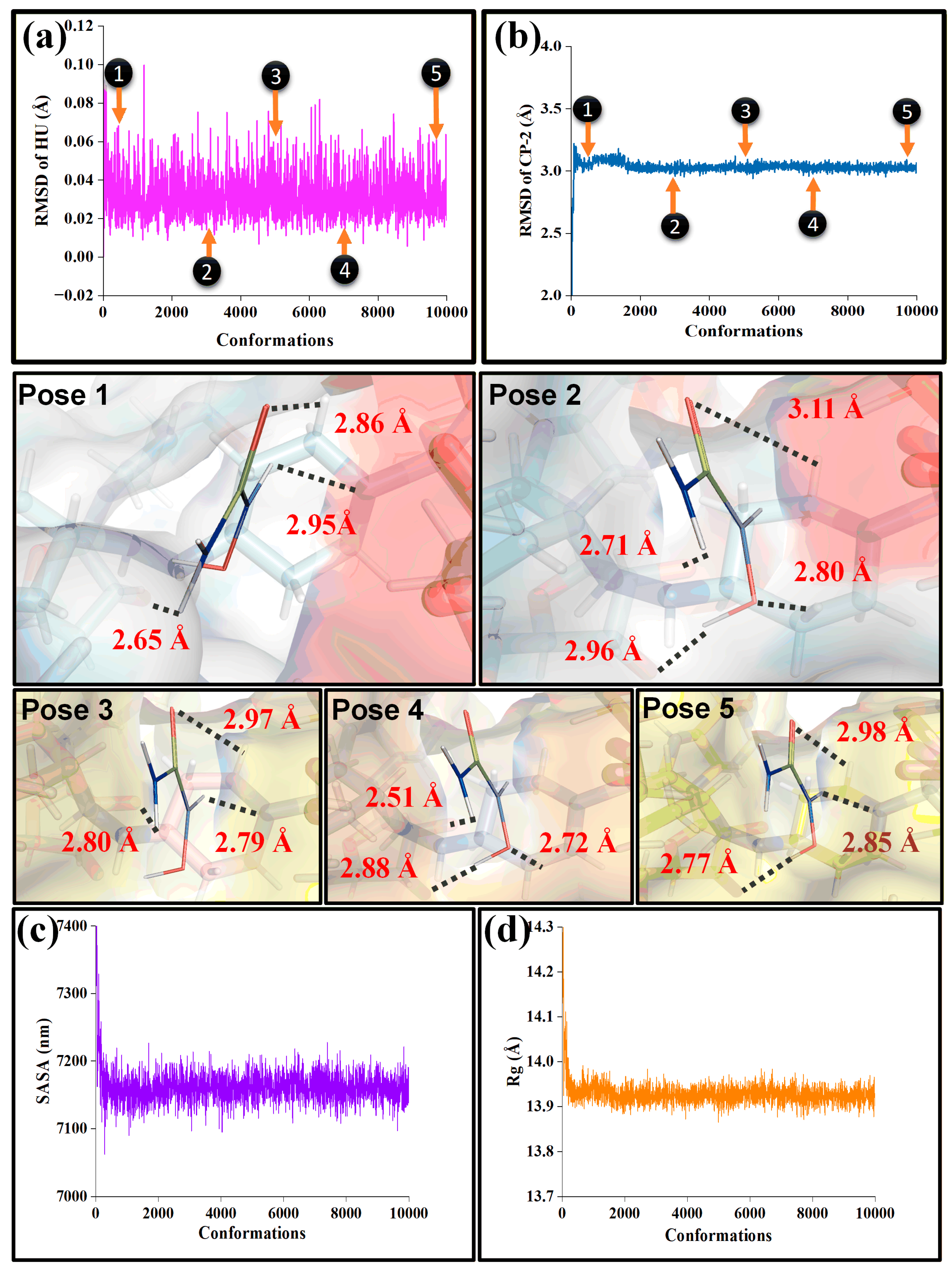 Polymers 18 00119 g007