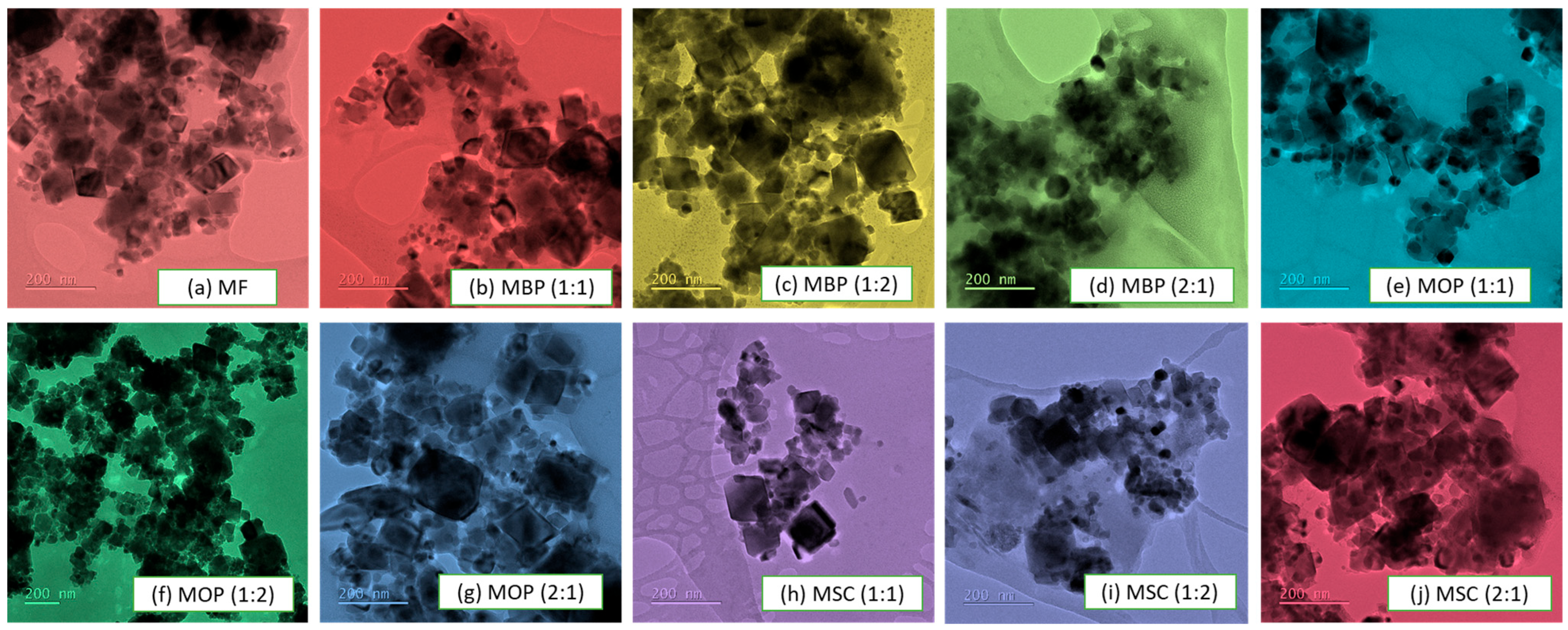 Polymers 18 00120 g001