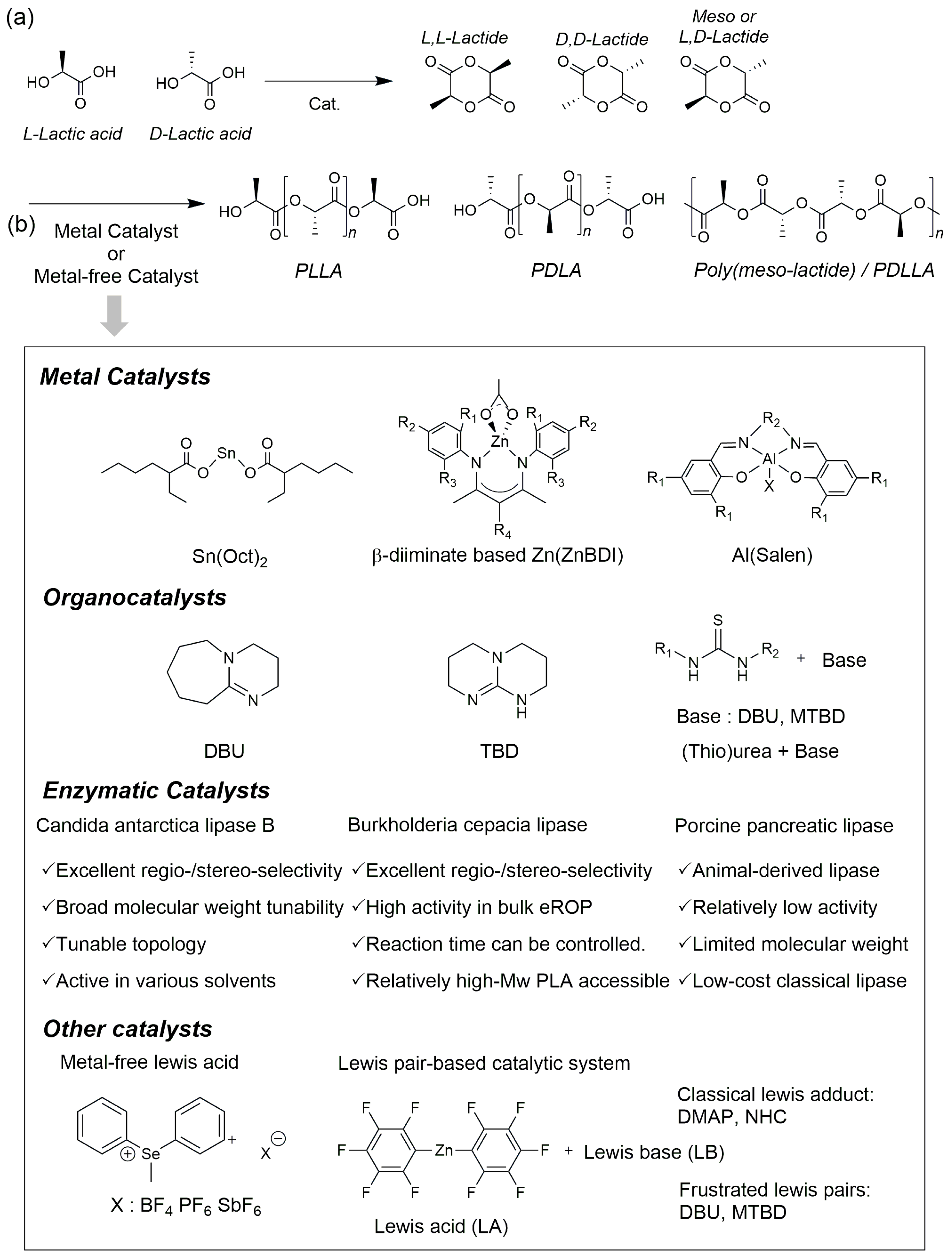 Polymers 18 00121 g002 Polymers 18 00121 g002