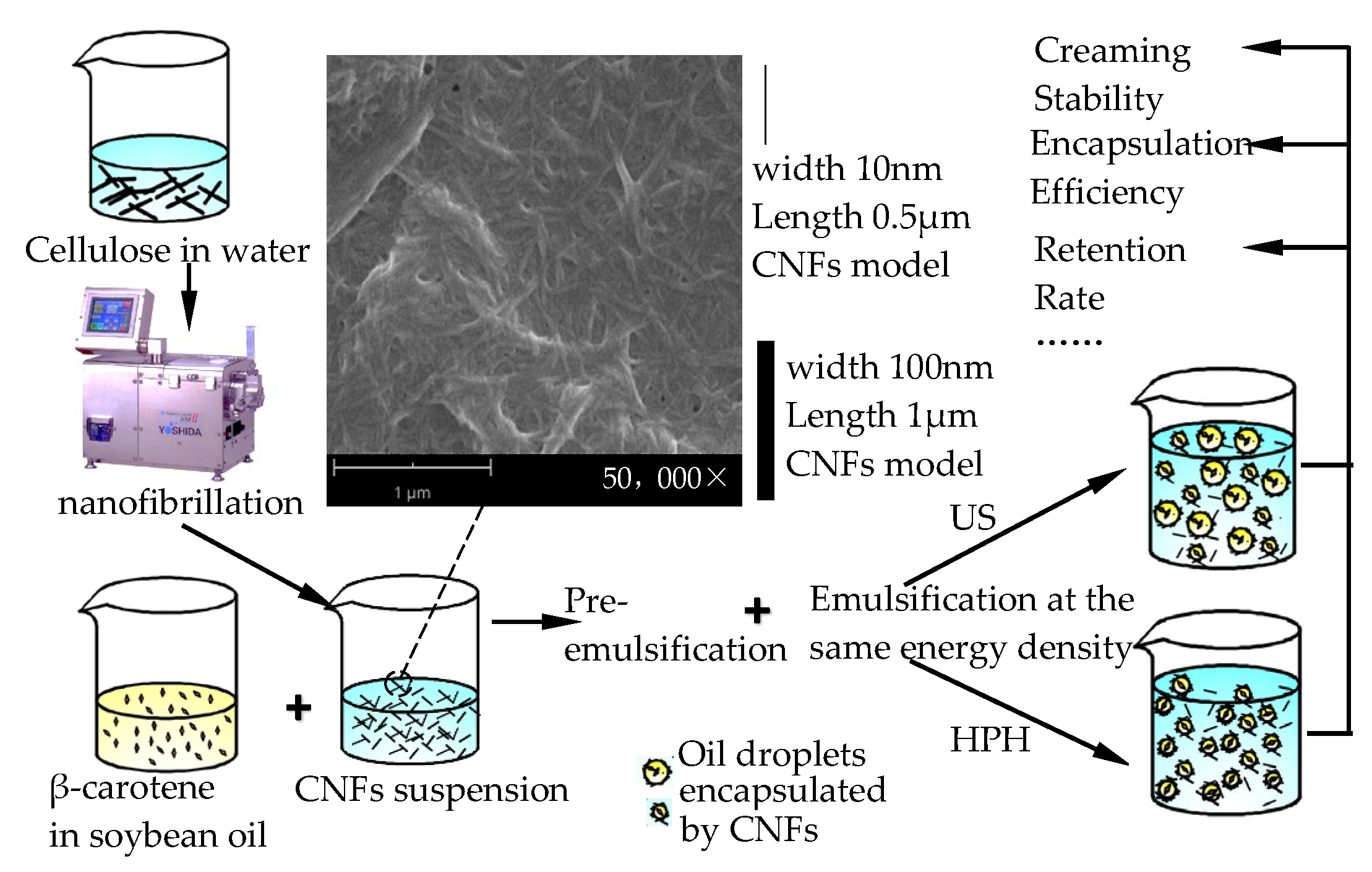 Polymers 18 00126 g001