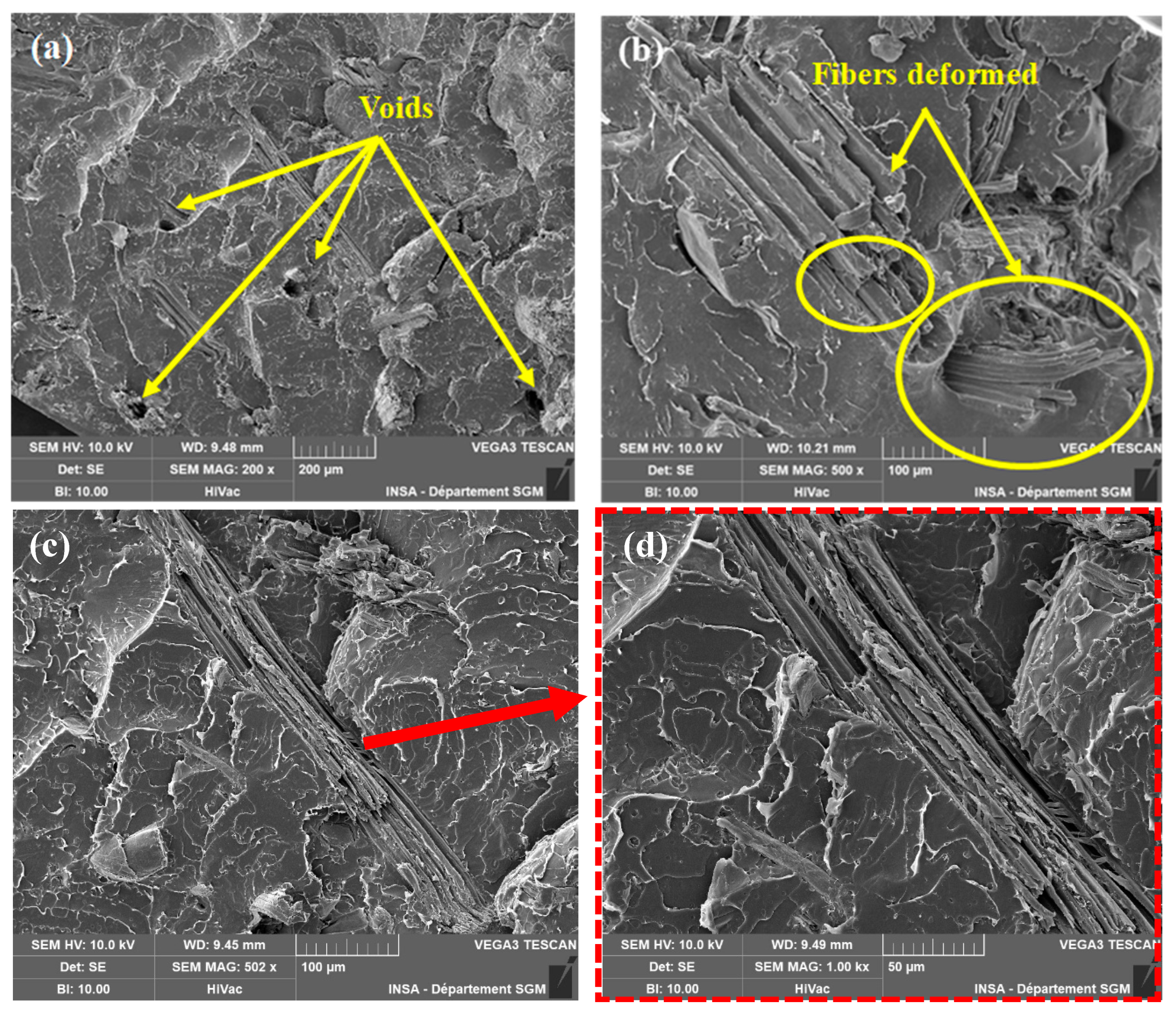 Polymers 18 00128 g007
