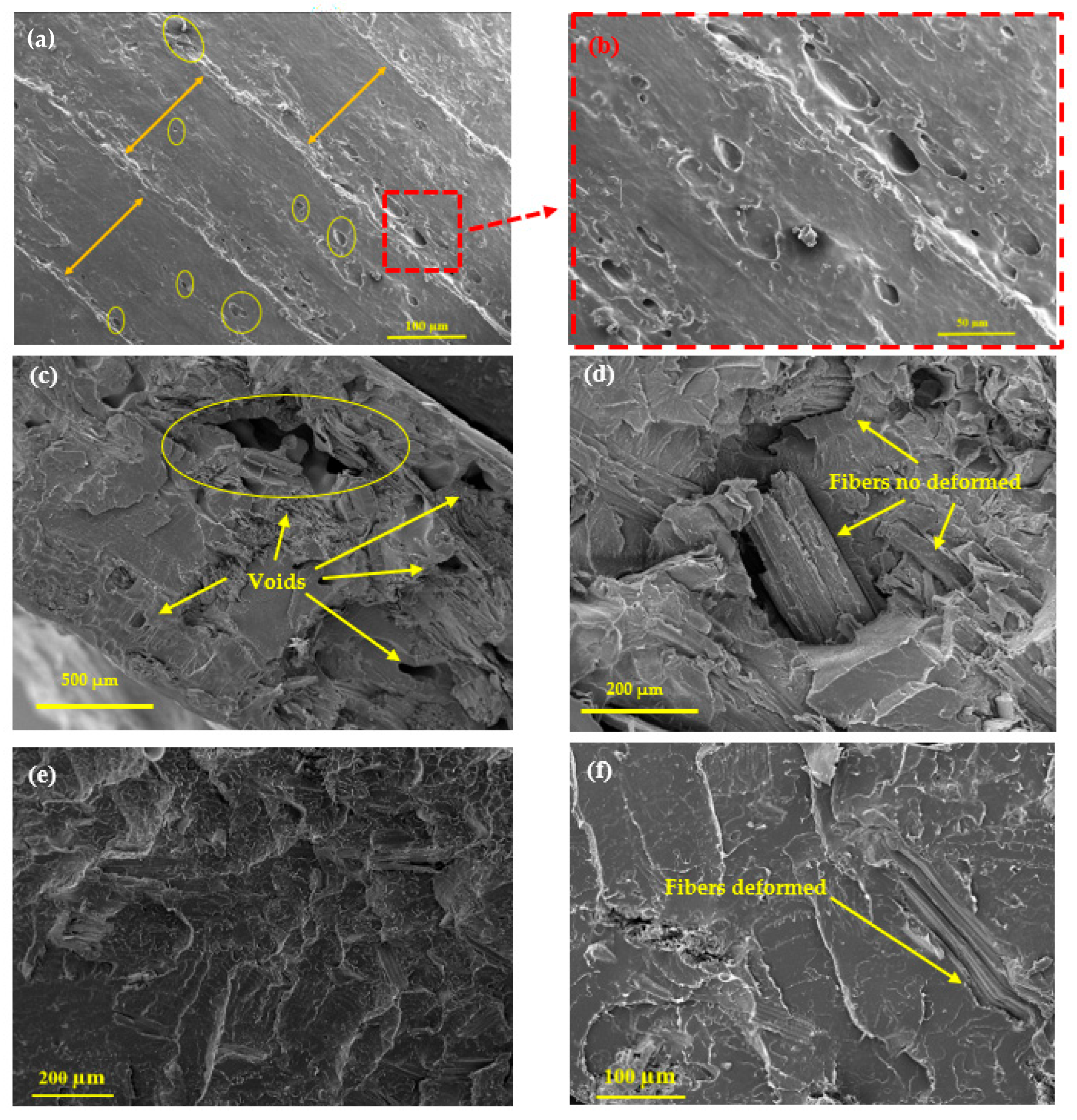 Polymers 18 00128 g011