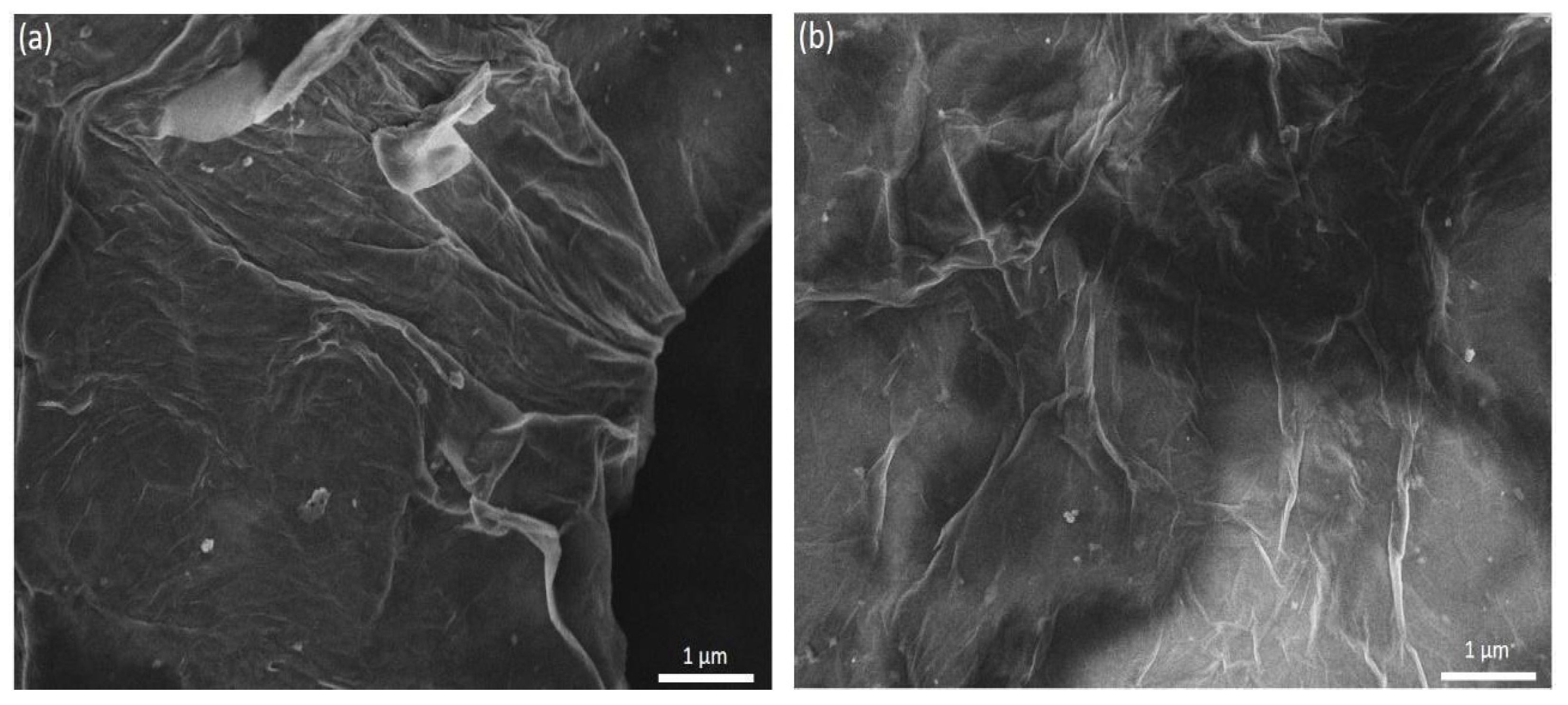 Polymers 18 00131 g002