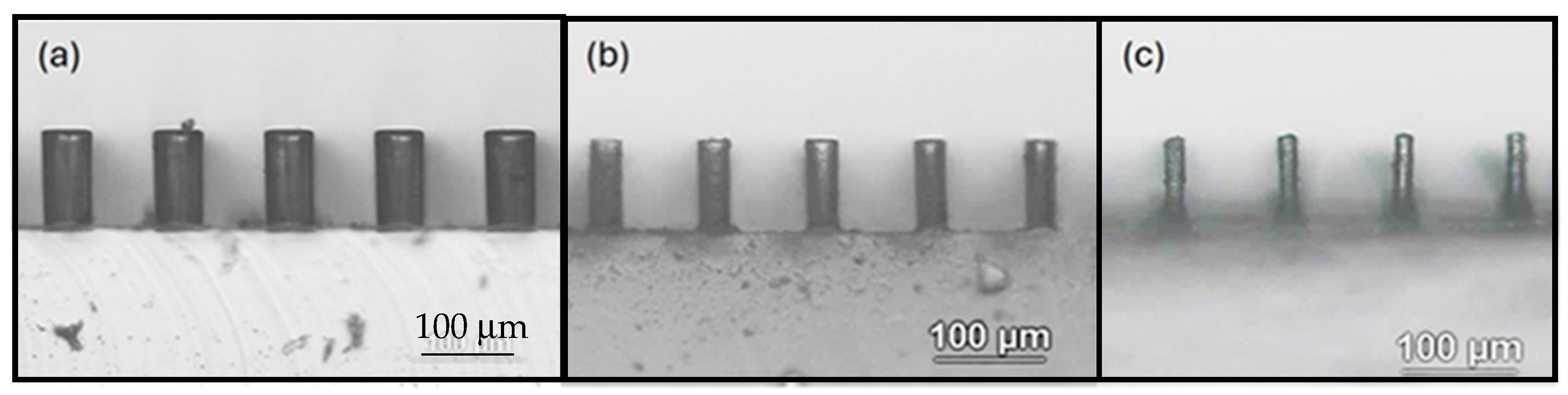 Polymers 18 00132 g001 Polymers 18 00132 g001