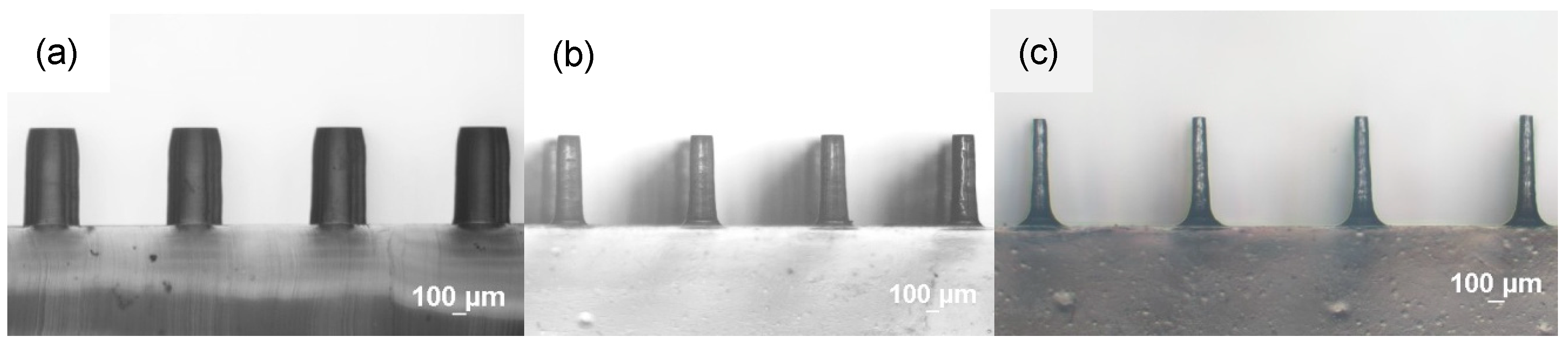 Polymers 18 00132 g002 Polymers 18 00132 g002