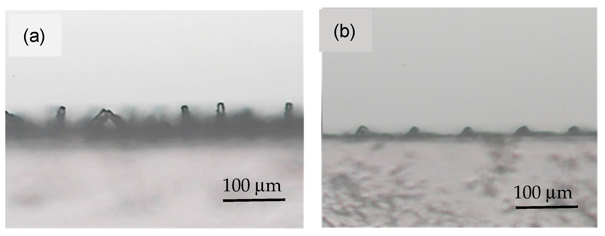 Polymers 18 00132 g005 Polymers 18 00132 g005
