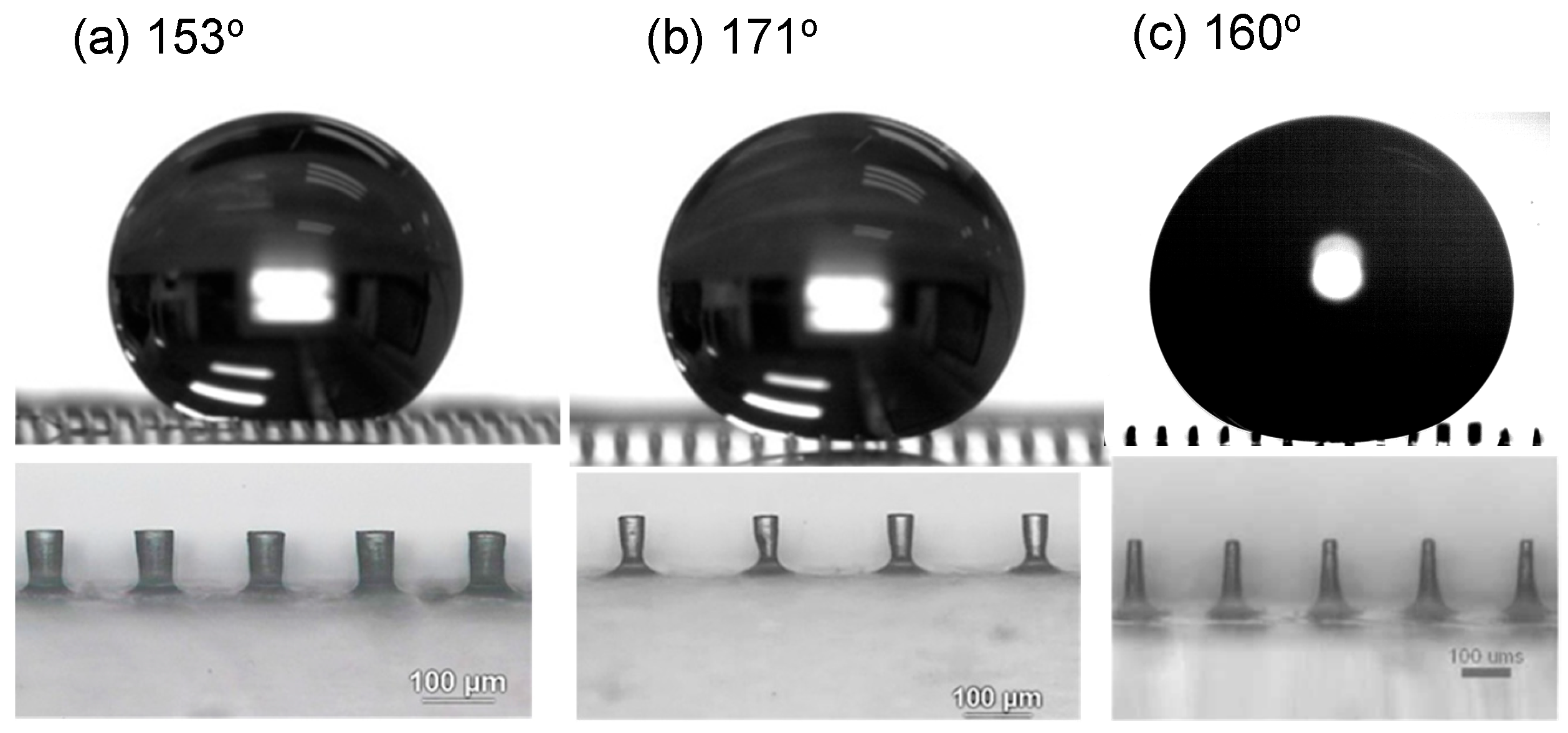 Polymers 18 00132 g008 Polymers 18 00132 g008
