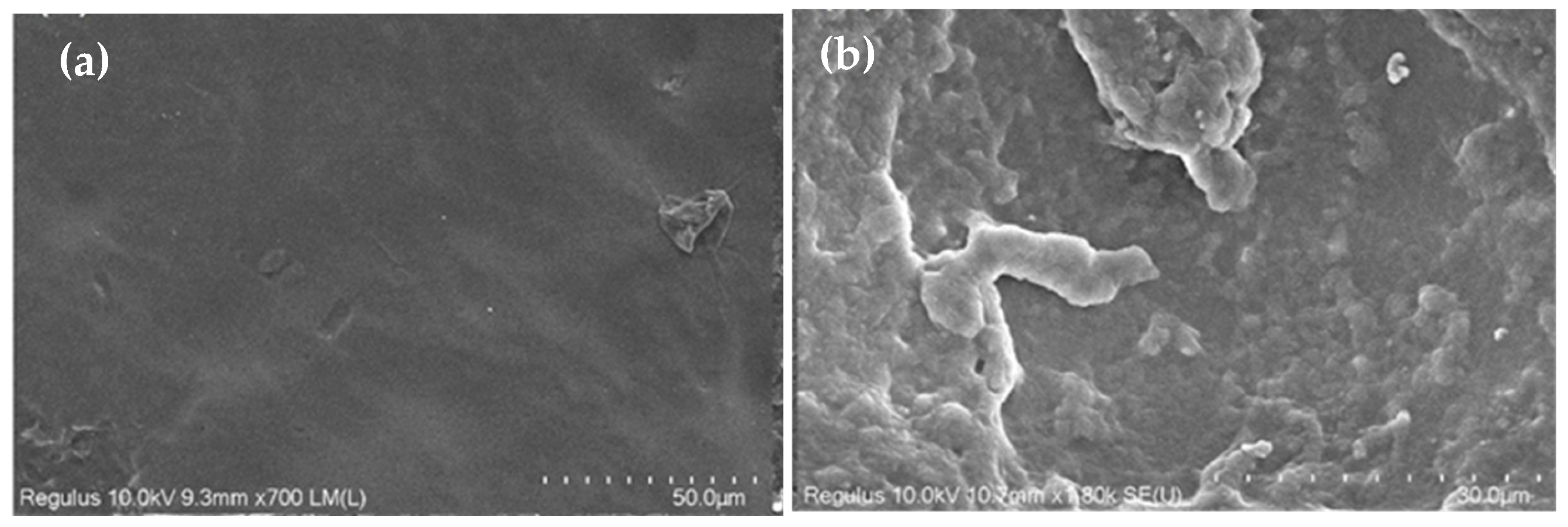 Polymers 18 00132 g010a Polymers 18 00132 g010a
