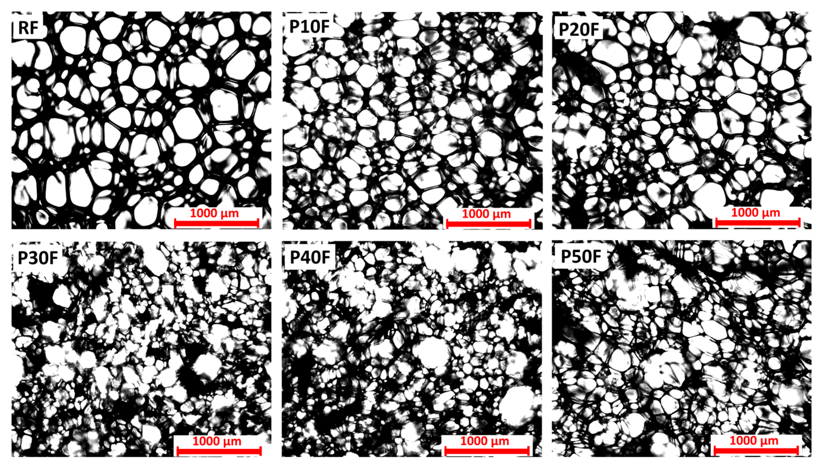 Polymers 18 00135 g001 Polymers 18 00135 g001