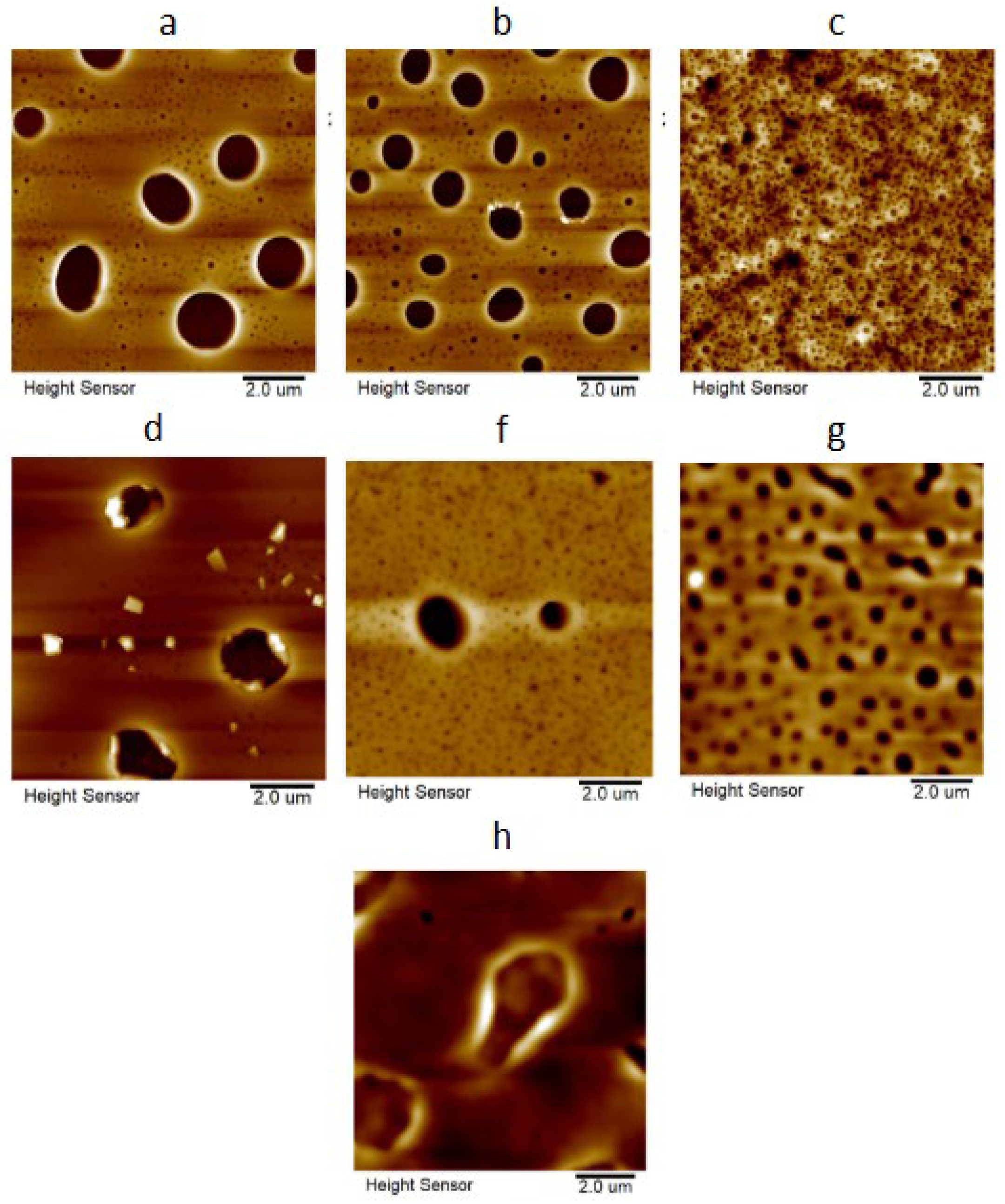 Polymers 18 00141 g008