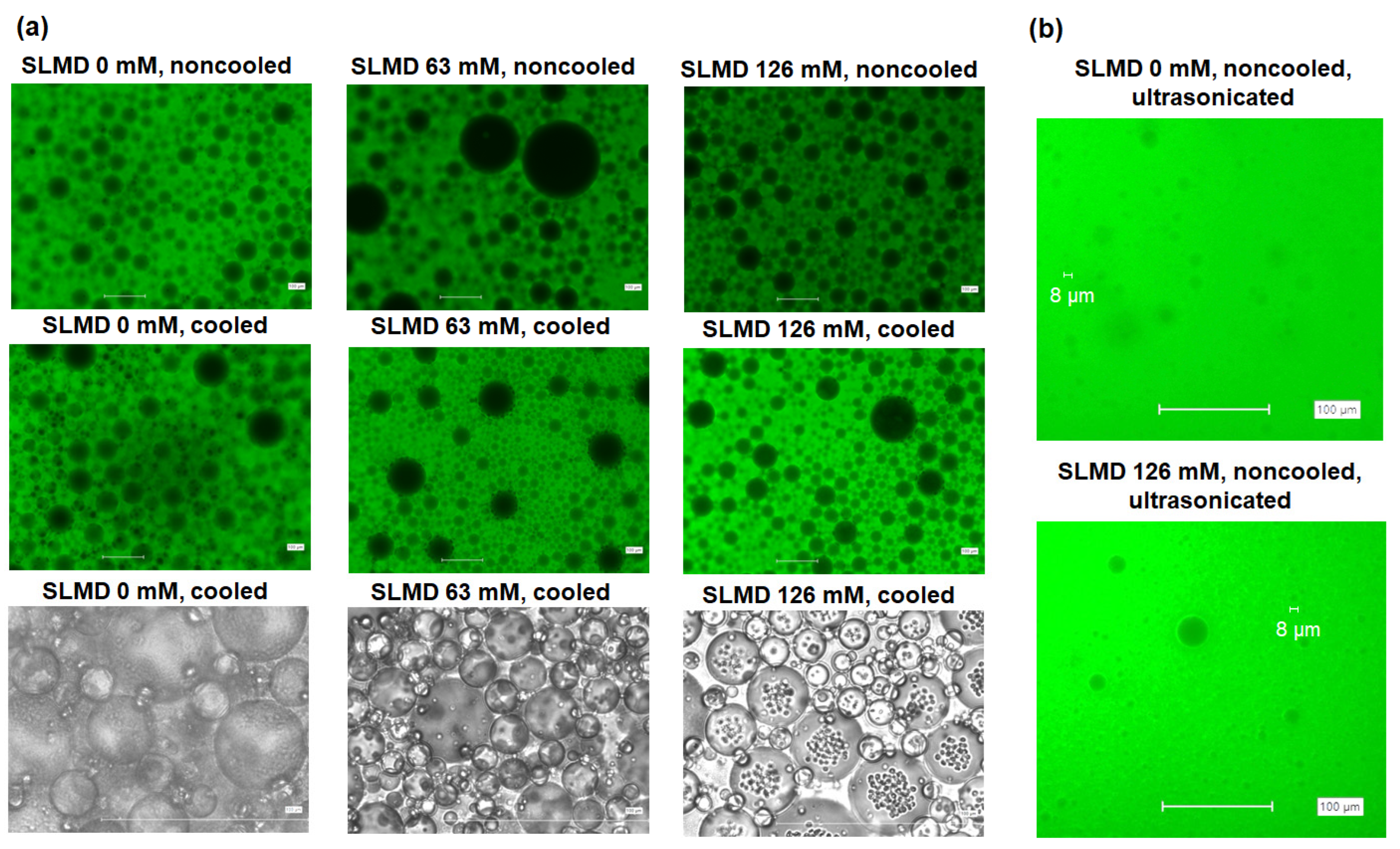 Polymers 18 00166 g007 Polymers 18 00166 g007