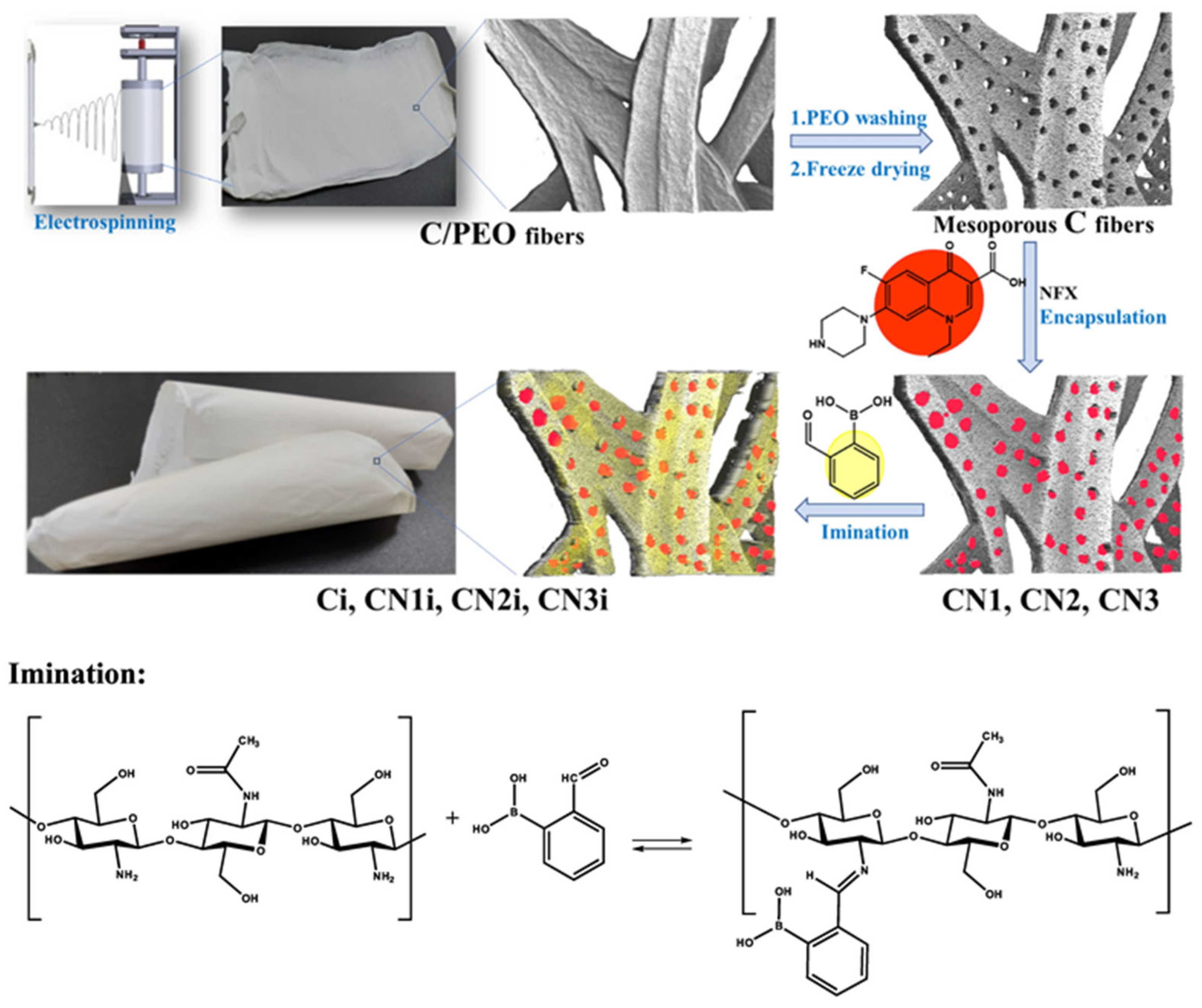 Polymers 18 00196 g005
