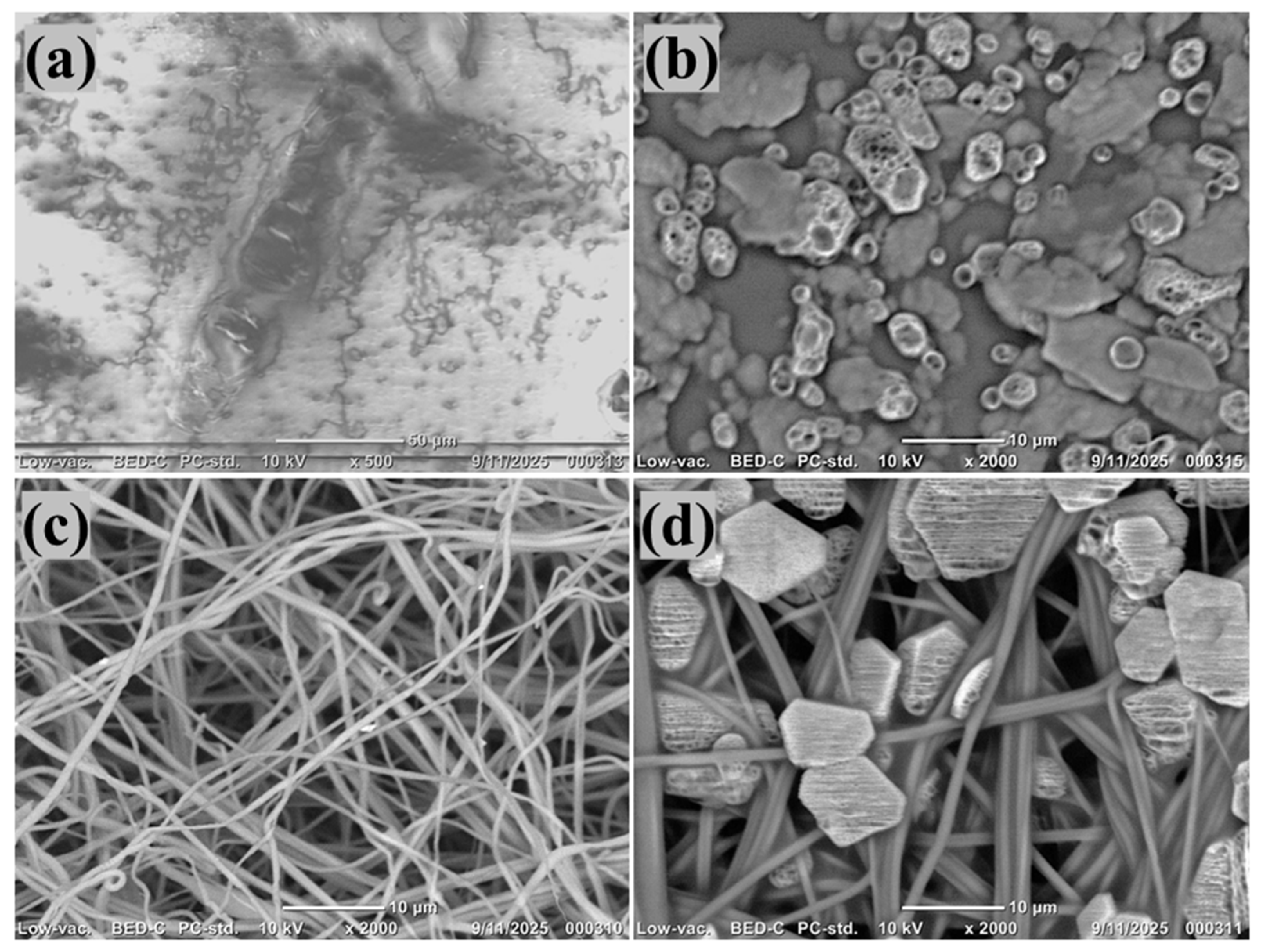 Polymers 18 00197 g003