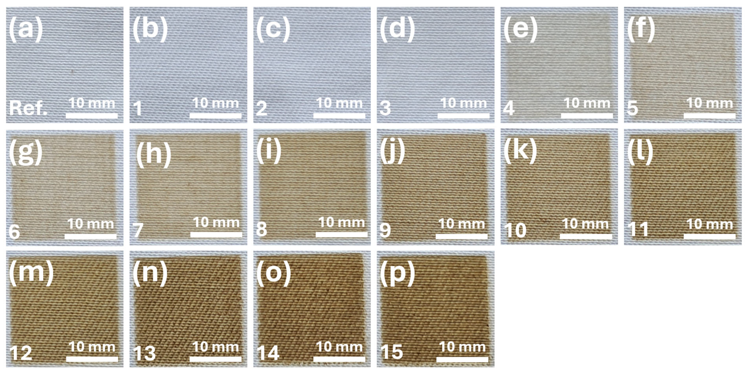 Polymers 18 00215 g001