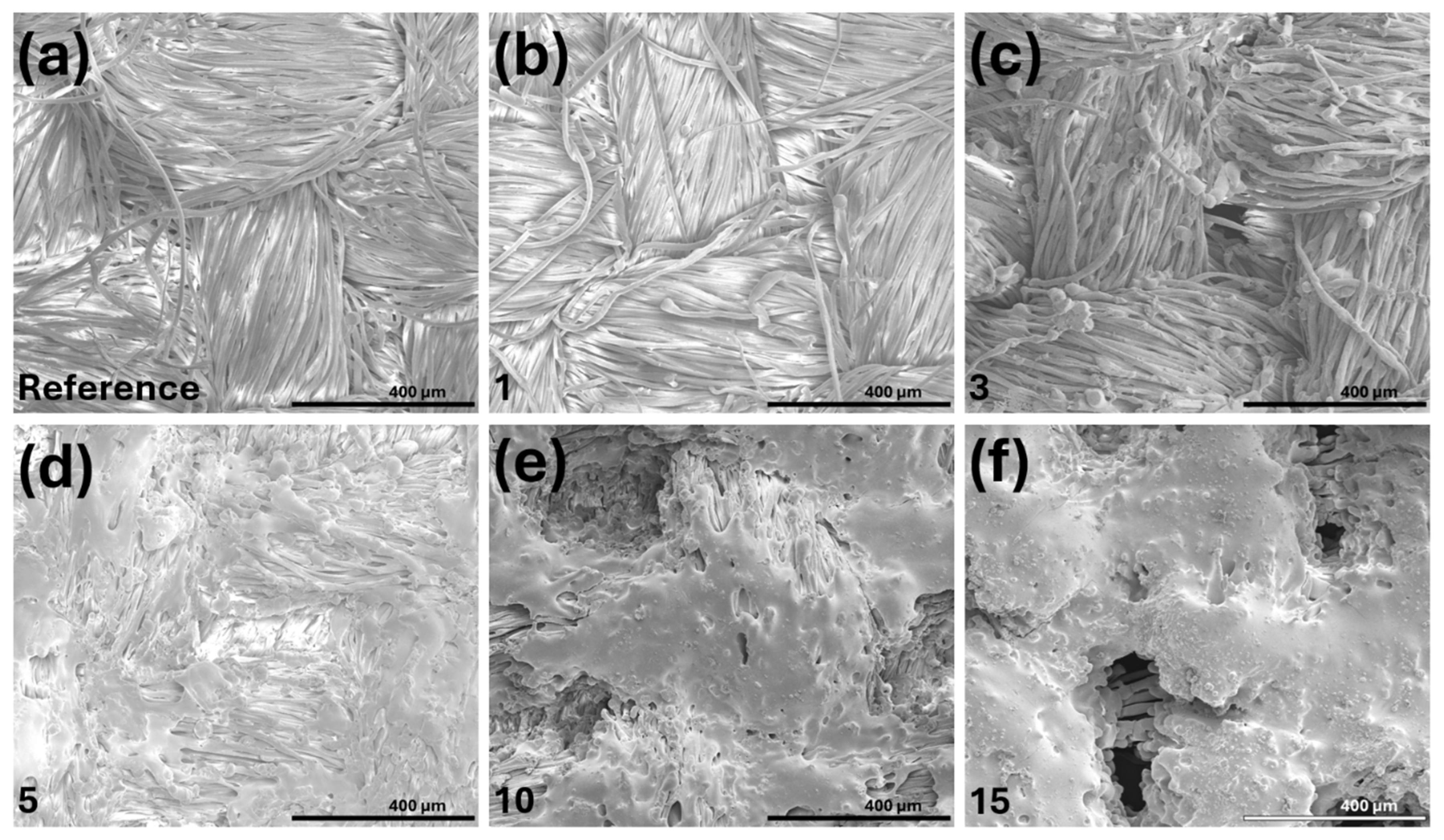 Polymers 18 00215 g003