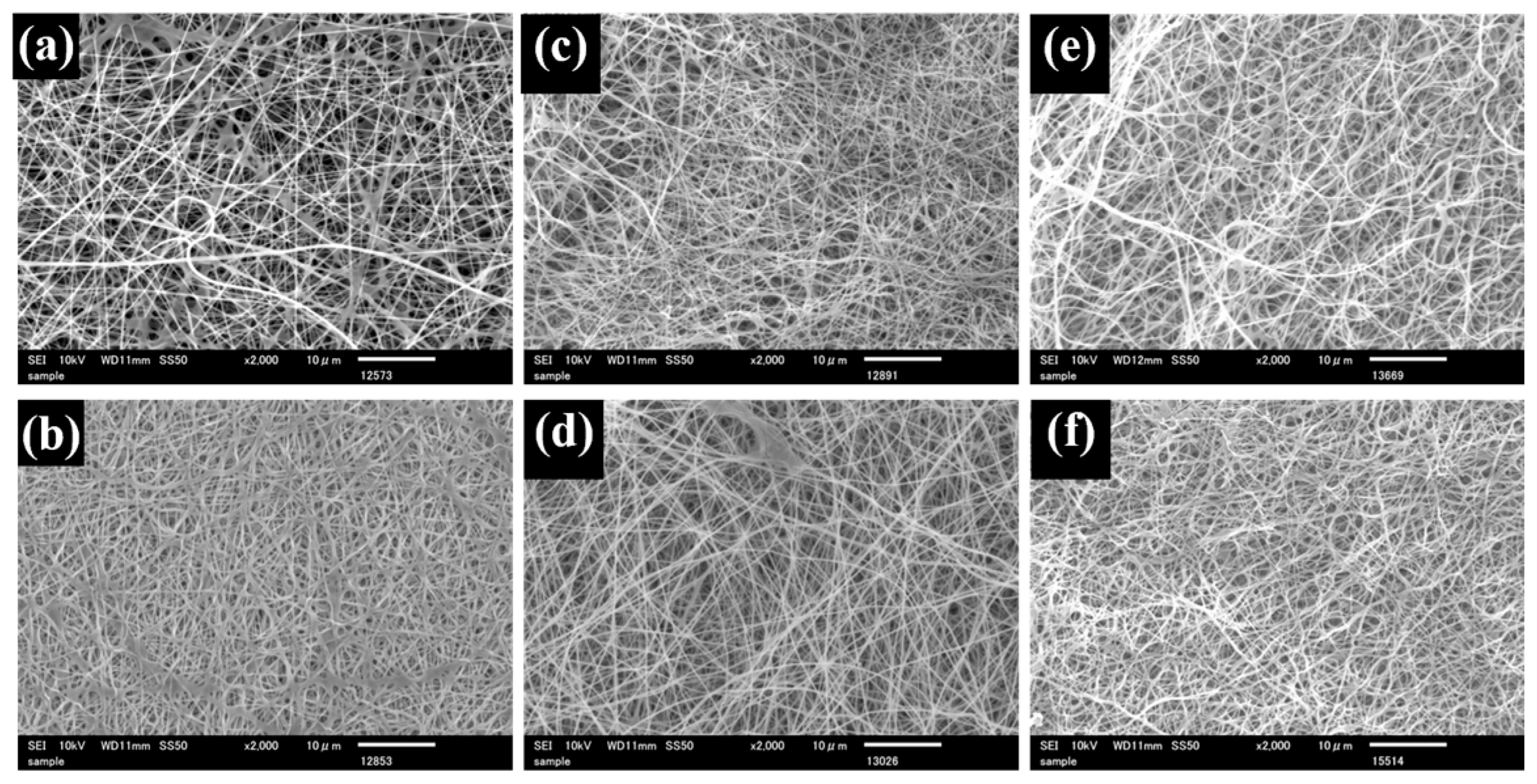 Polymers 18 00221 g001