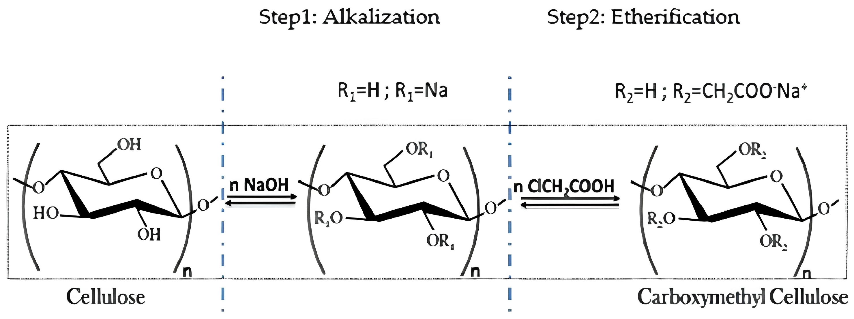 Polymers 18 00226 g001