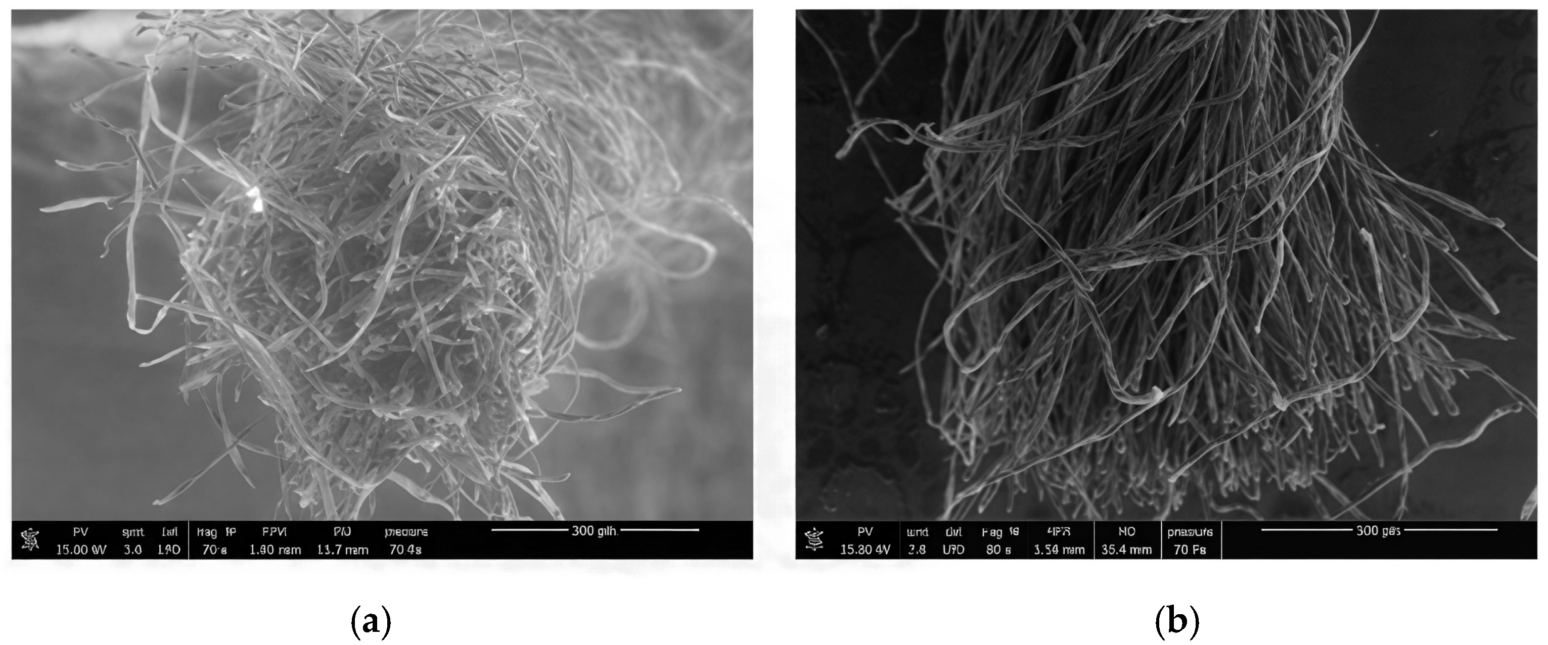 Polymers 18 00226 g003a
