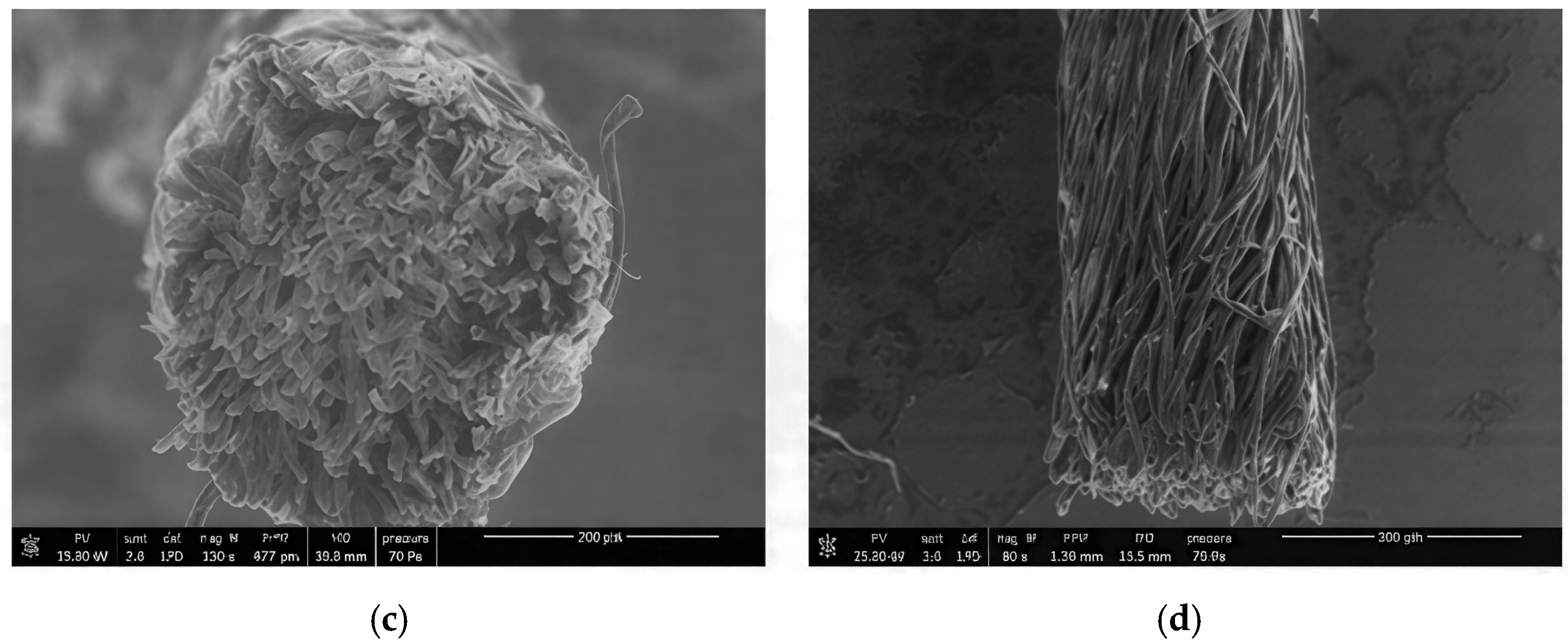 Polymers 18 00226 g003b
