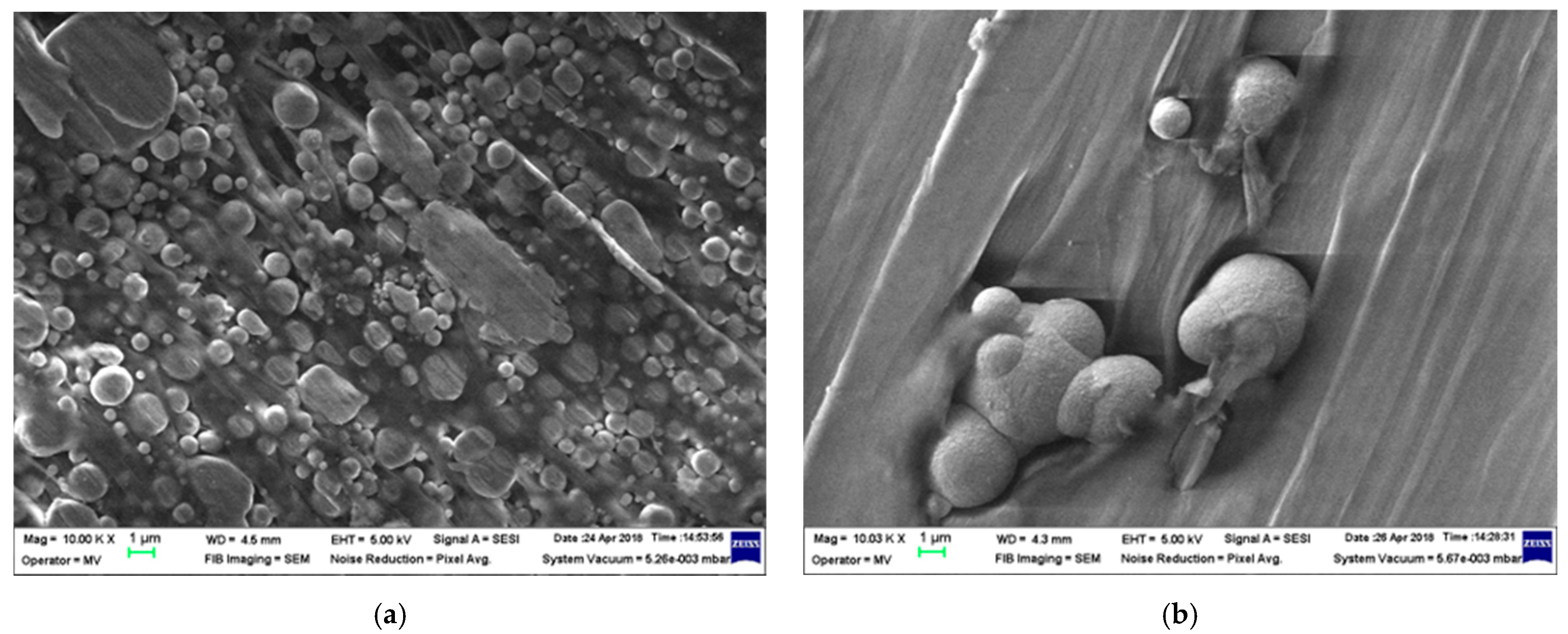 Polymers 18 00228 g006a Polymers 18 00228 g006a