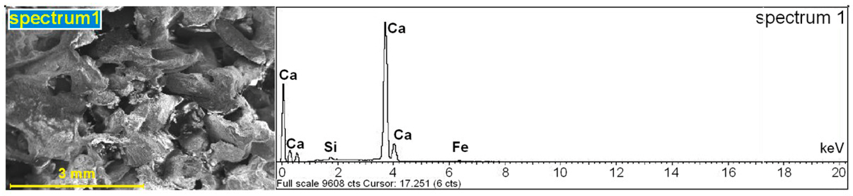 Polymers 18 00237 g007