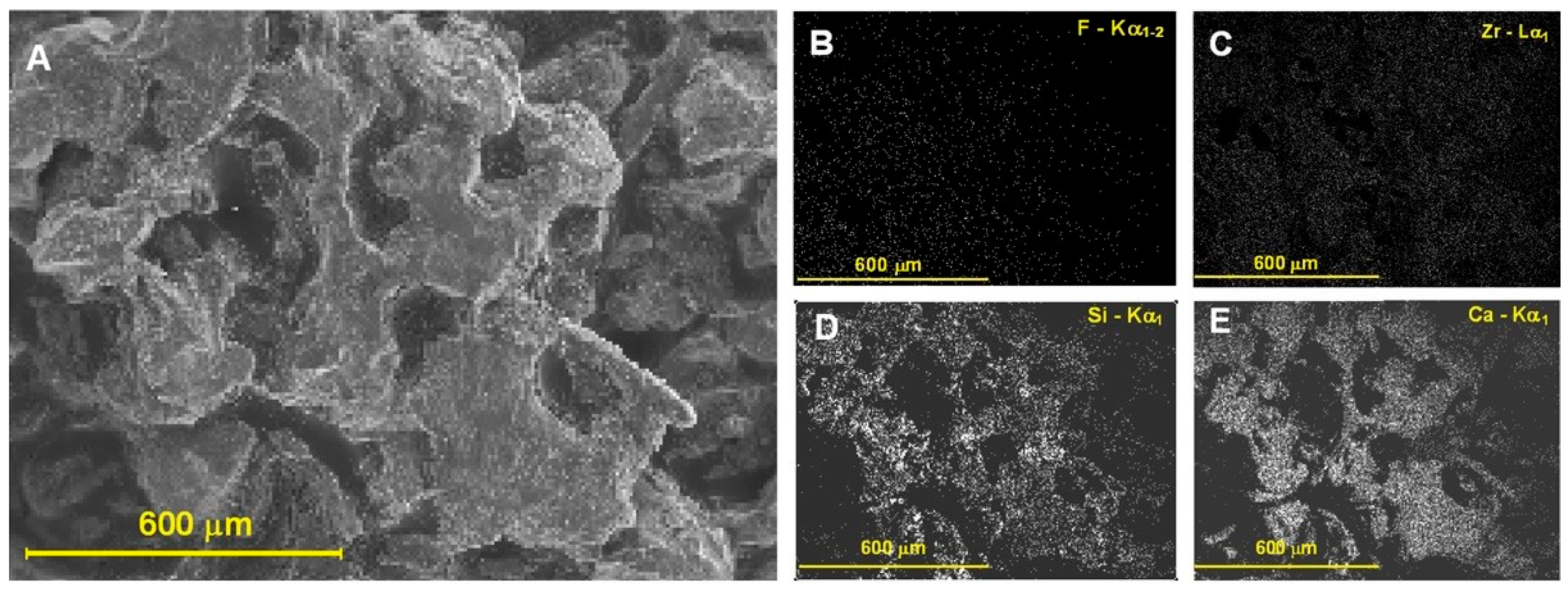 Polymers 18 00237 g009