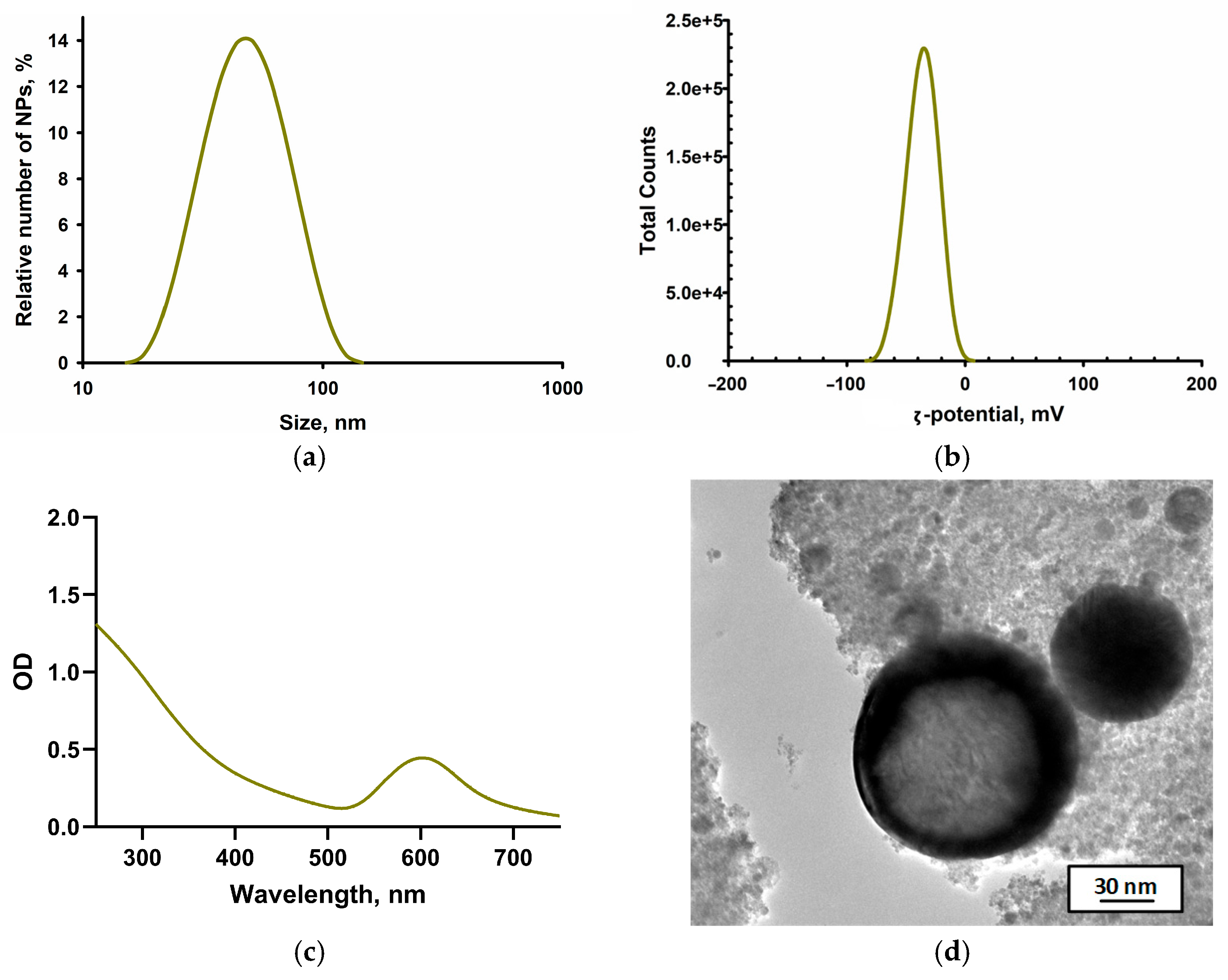 Polymers 18 00238 g001