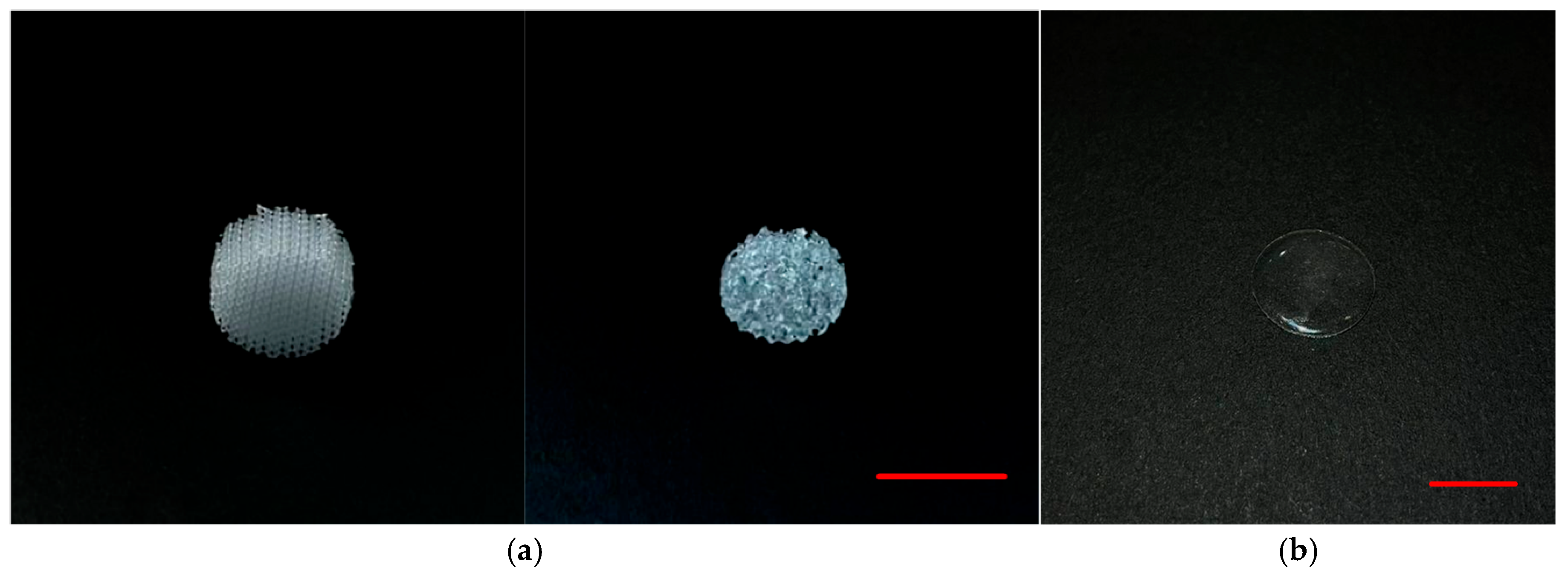 Polymers 18 00238 g002