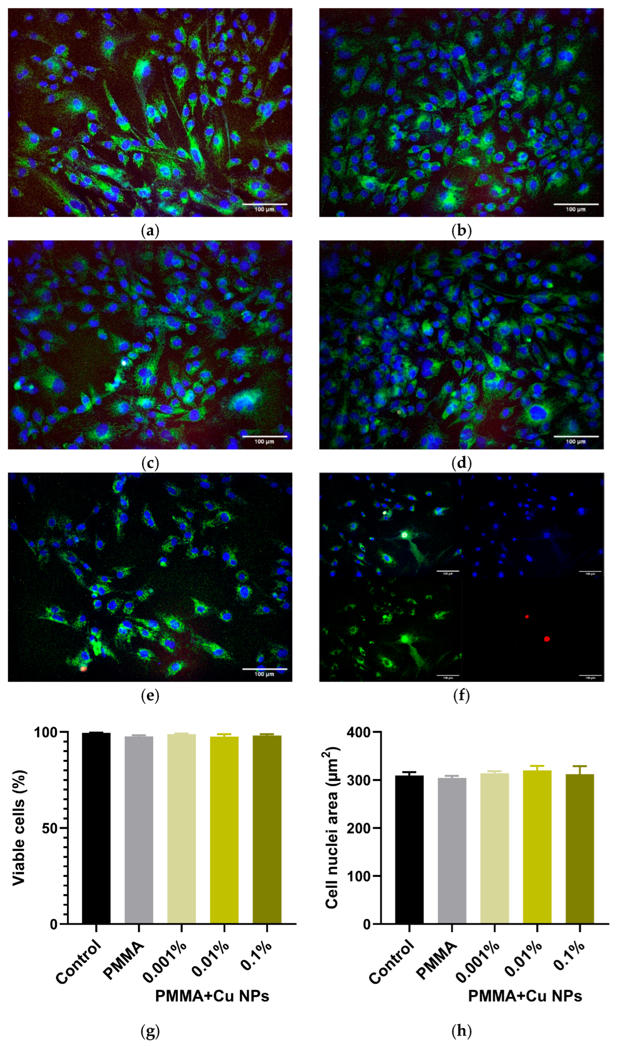 Polymers 18 00238 g011