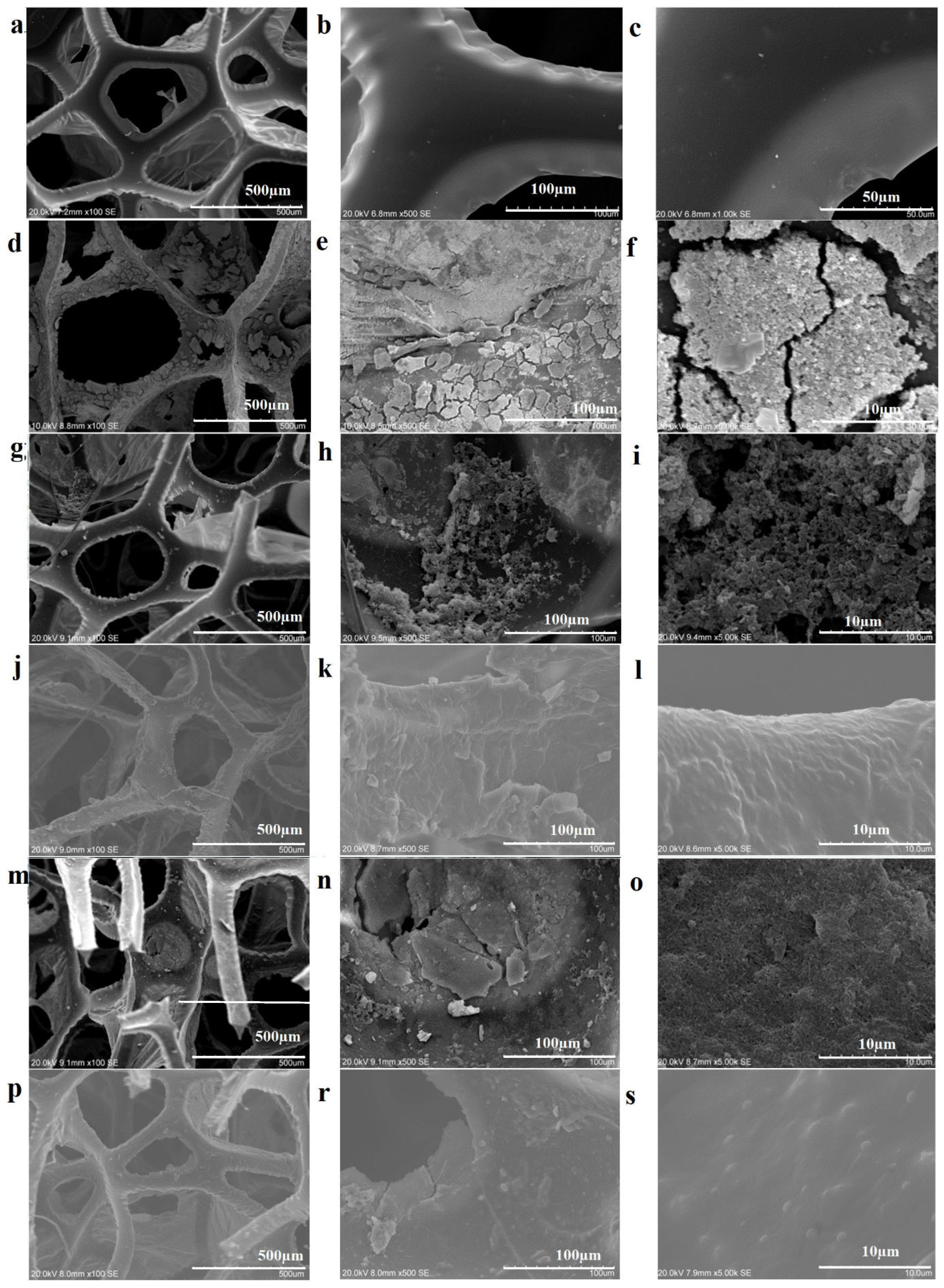 Polymers 18 00241 g004