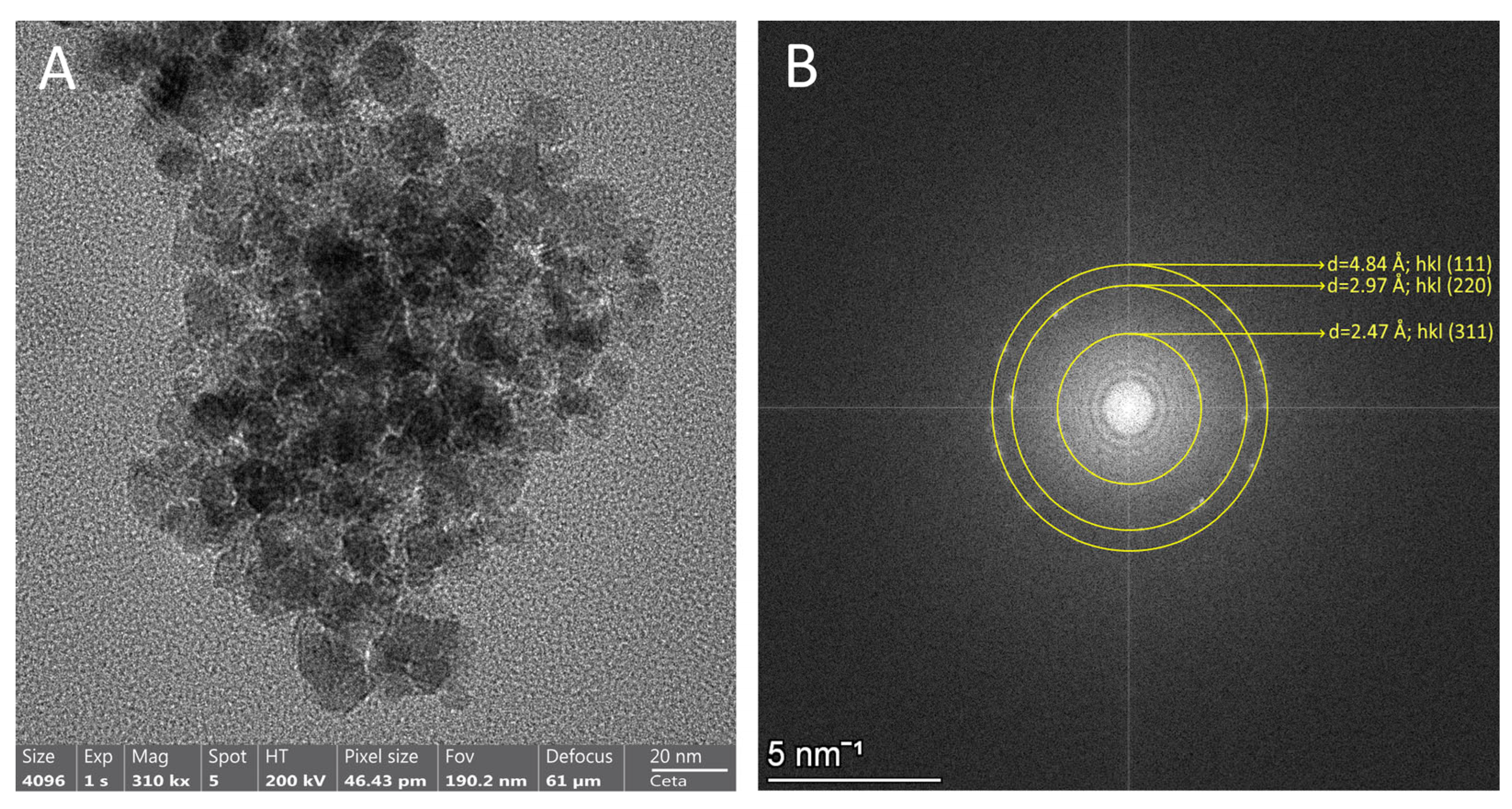 Polymers 18 00256 g004