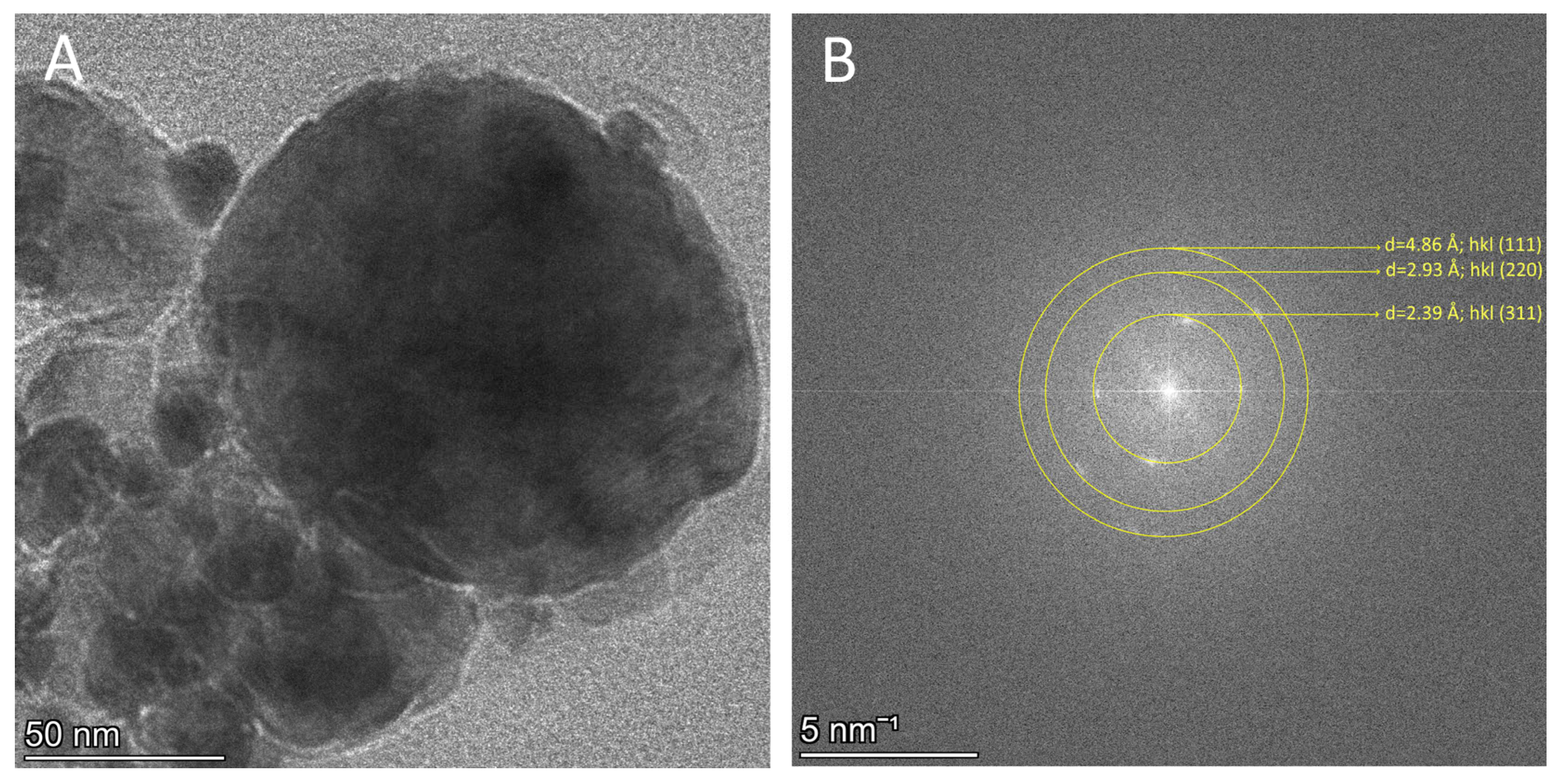 Polymers 18 00256 g011