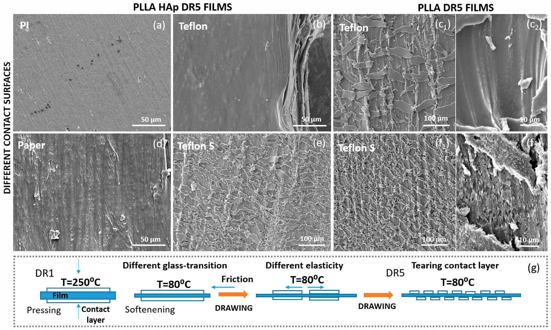 Polymers 18 00257 g003