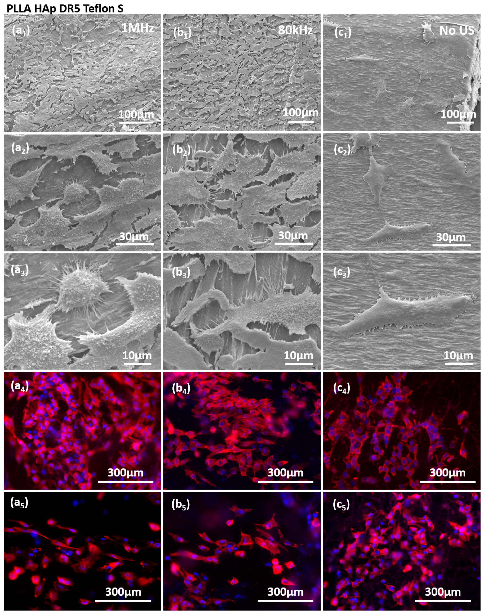 Polymers 18 00257 g007