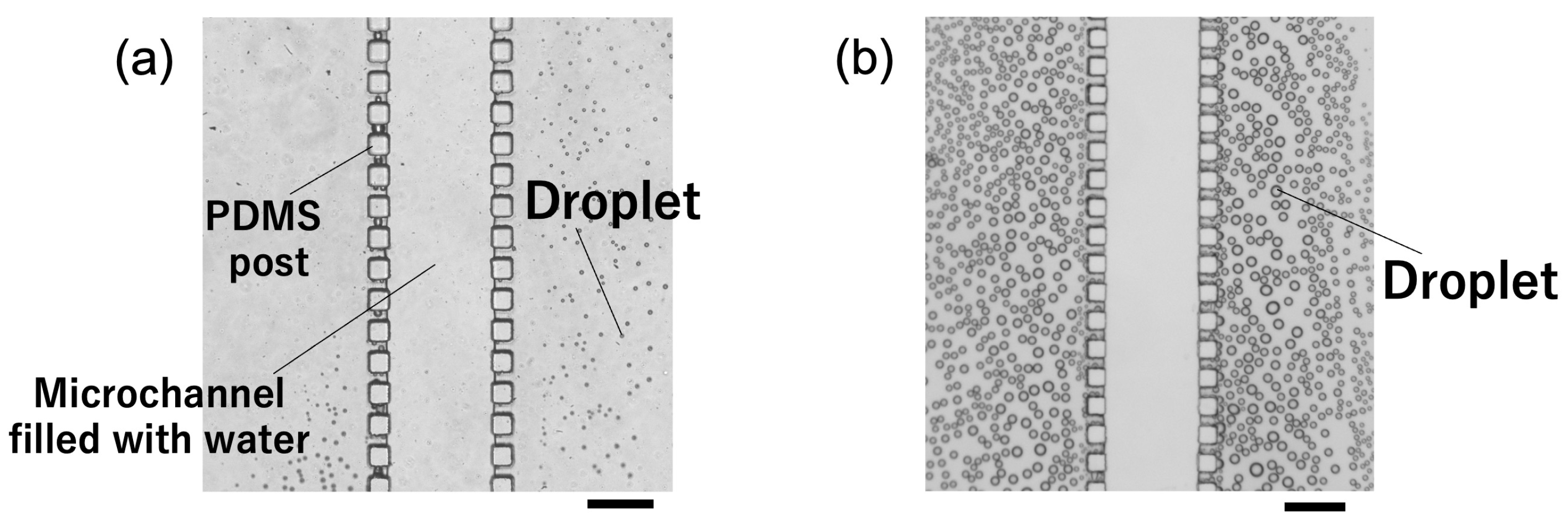 Polymers 18 00260 g005