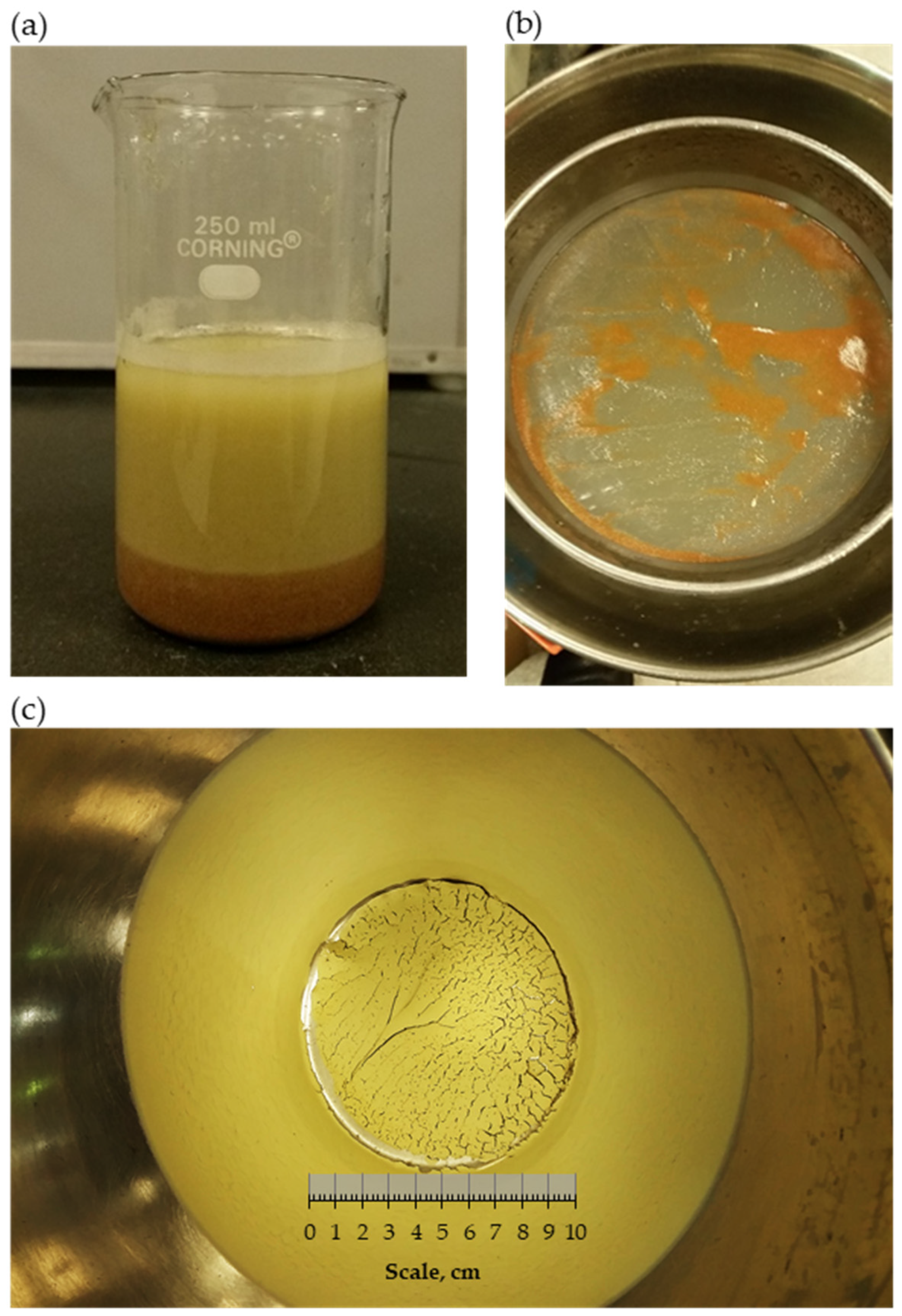 Polymers 18 00272 g005