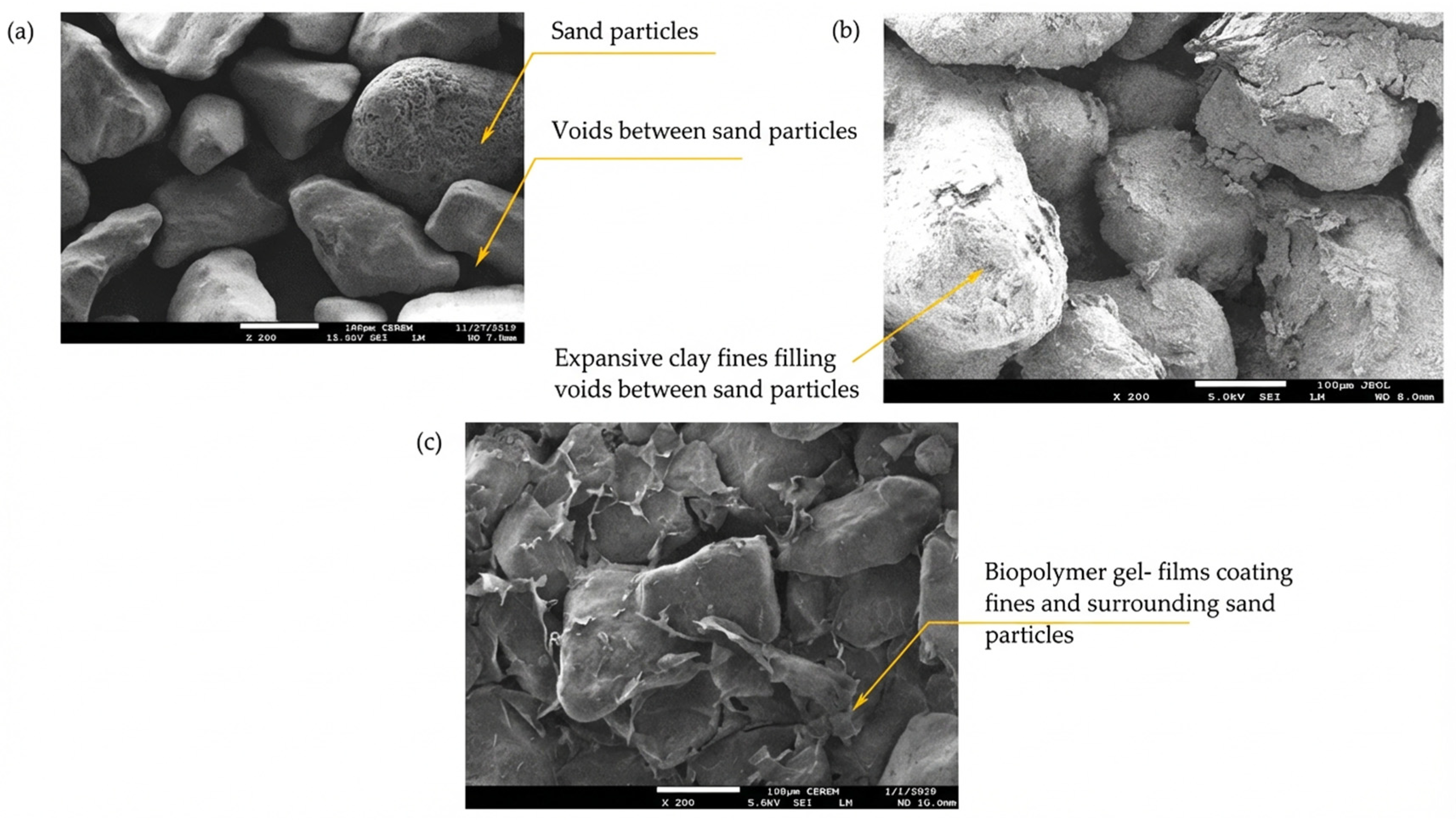 Polymers 18 00272 g010