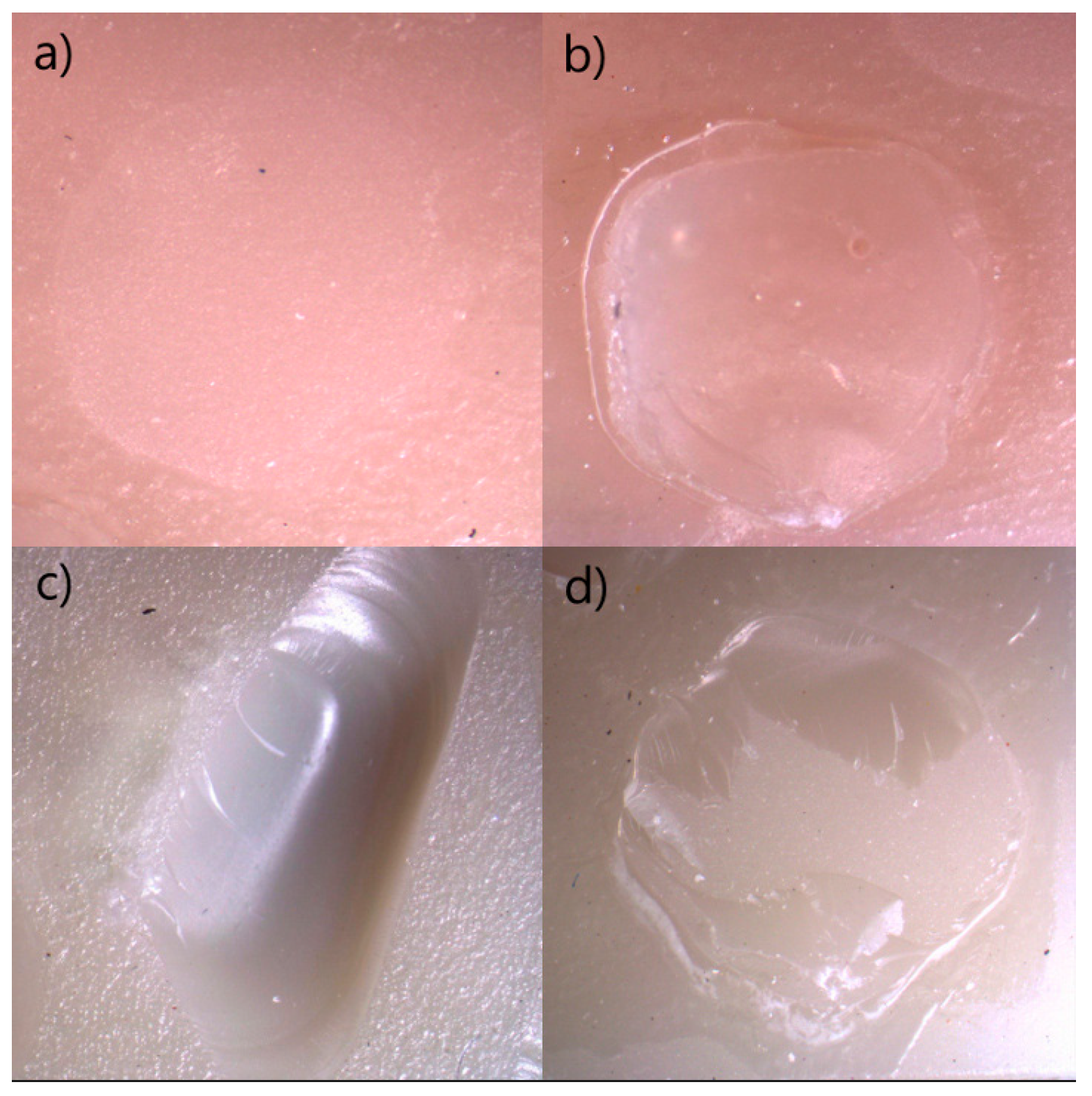 Polymers 18 00296 g004 Polymers 18 00296 g004