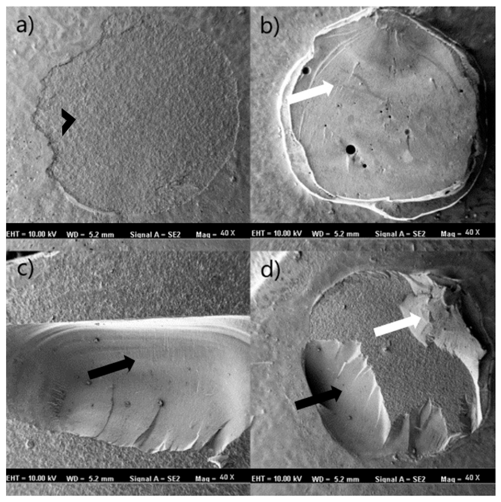 Polymers 18 00296 g005 Polymers 18 00296 g005