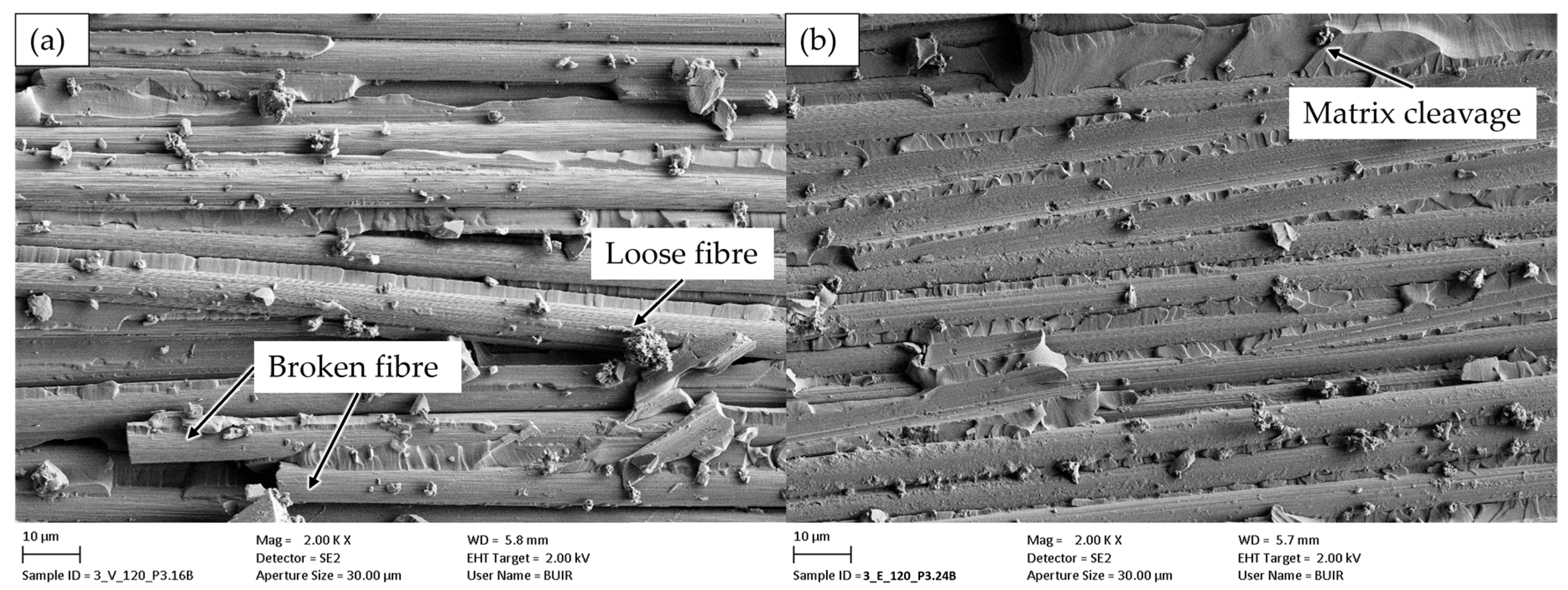 Polymers 18 00300 g005