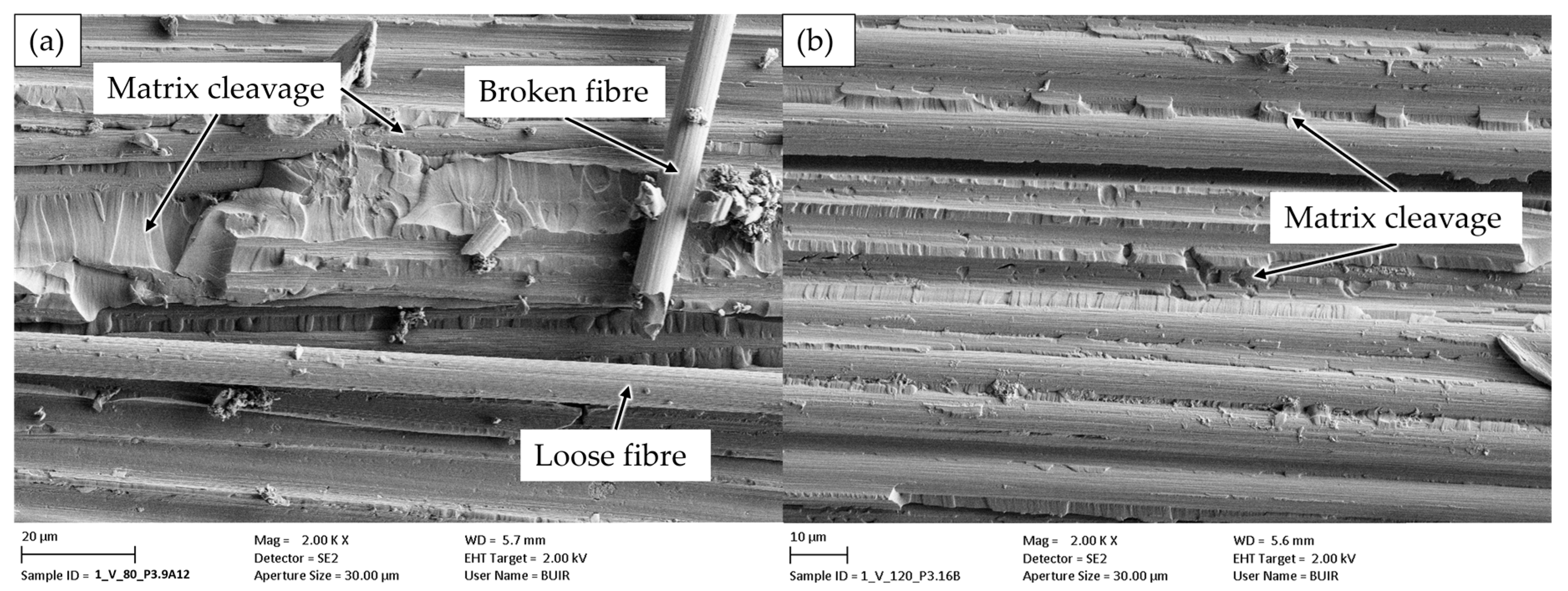 Polymers 18 00300 g008