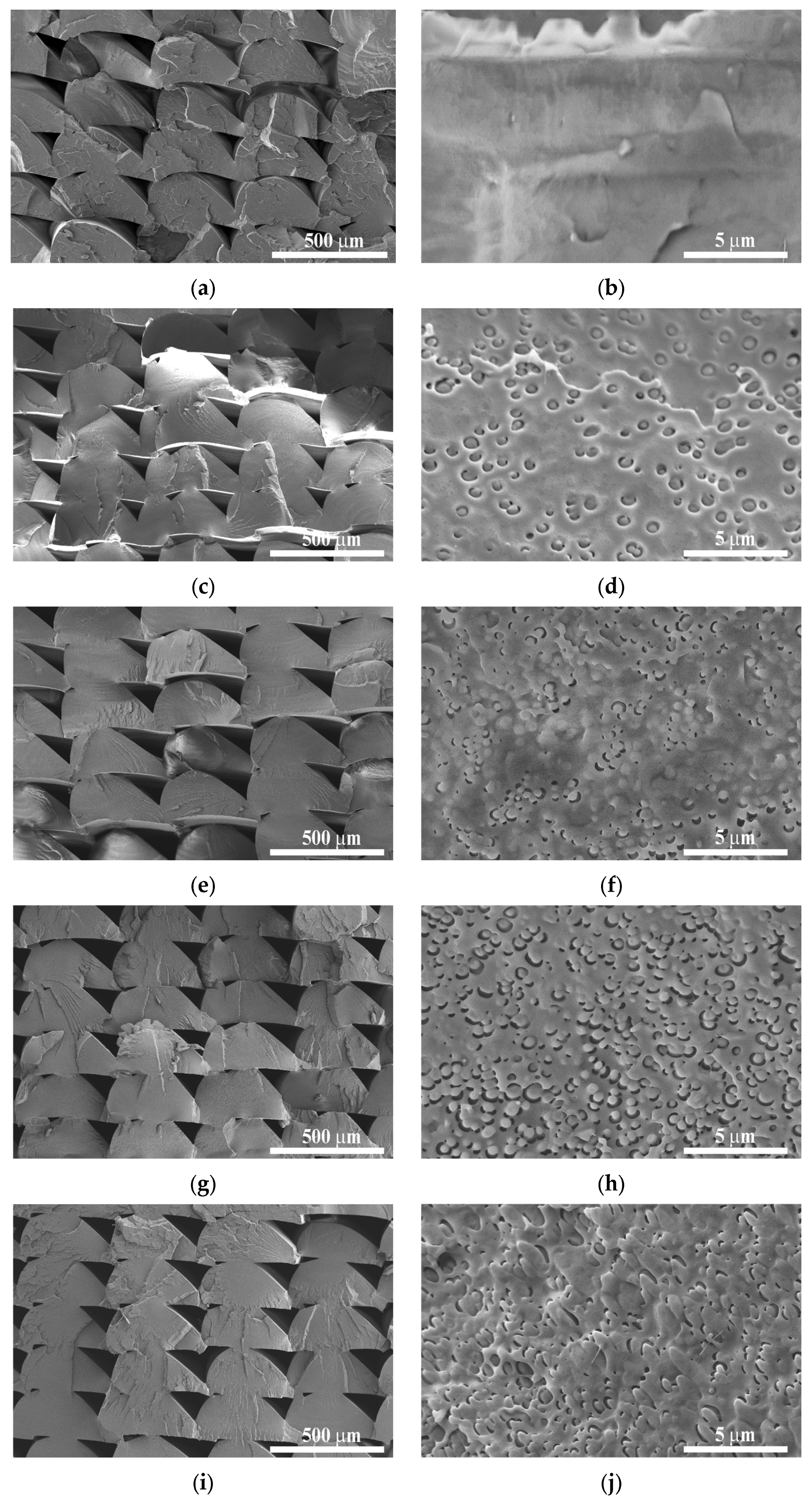 Polymers 18 00339 g004