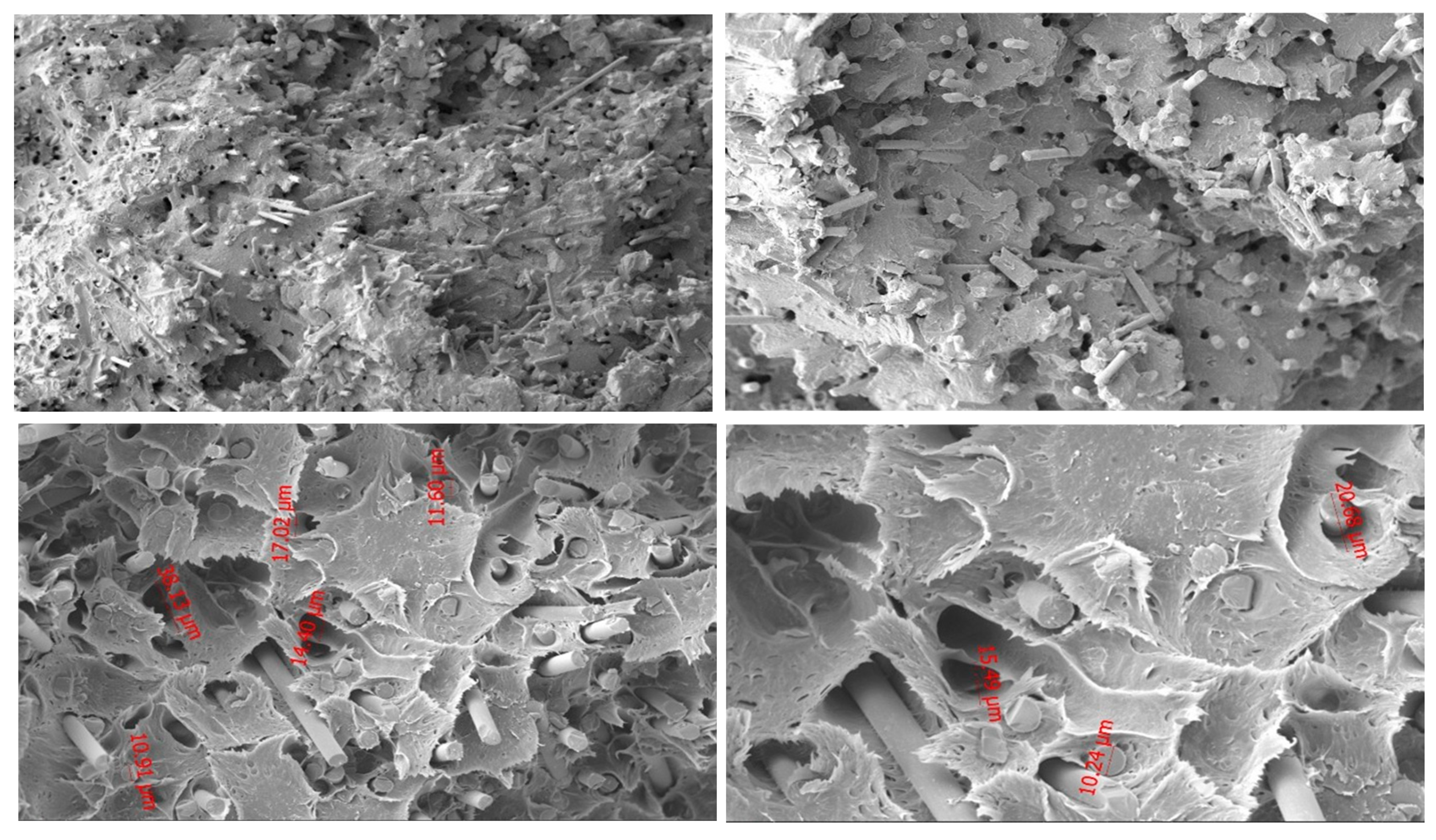 Polymers 18 00357 g009
