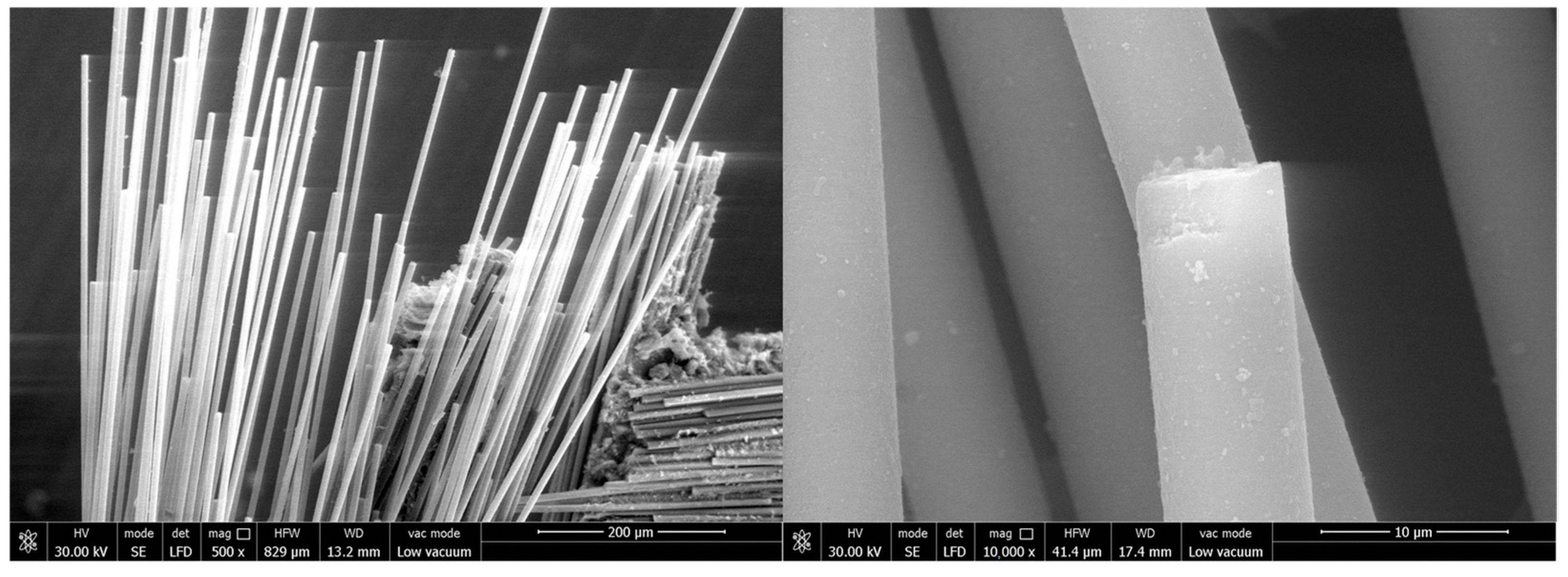 Polymers 18 00358 g015