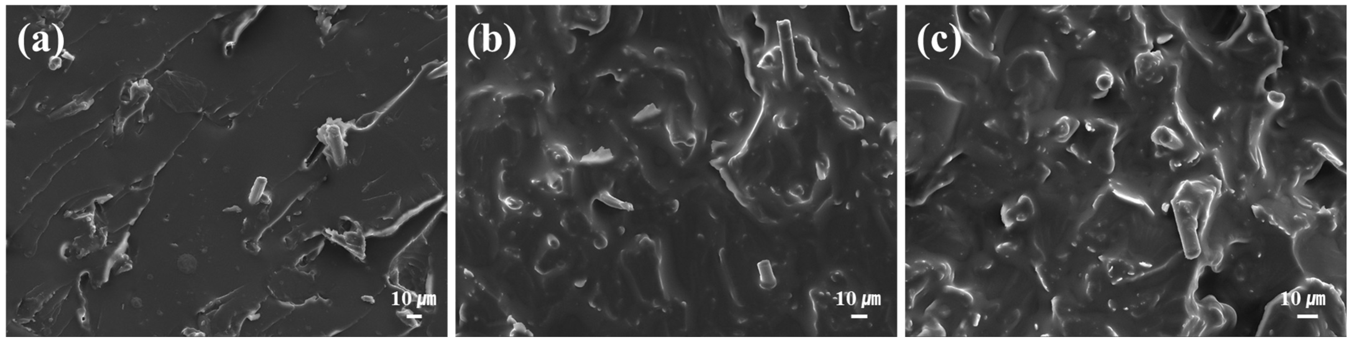 Polymers 18 00373 g016